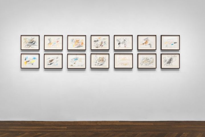 Don Van Vliet, Works on Paper at Michael Werner, photo 6