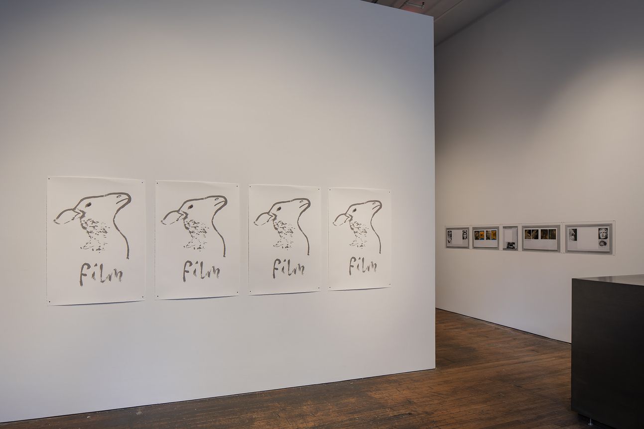 Rosalind Nashashibi & Lucy Skaer, image 9 of 10
