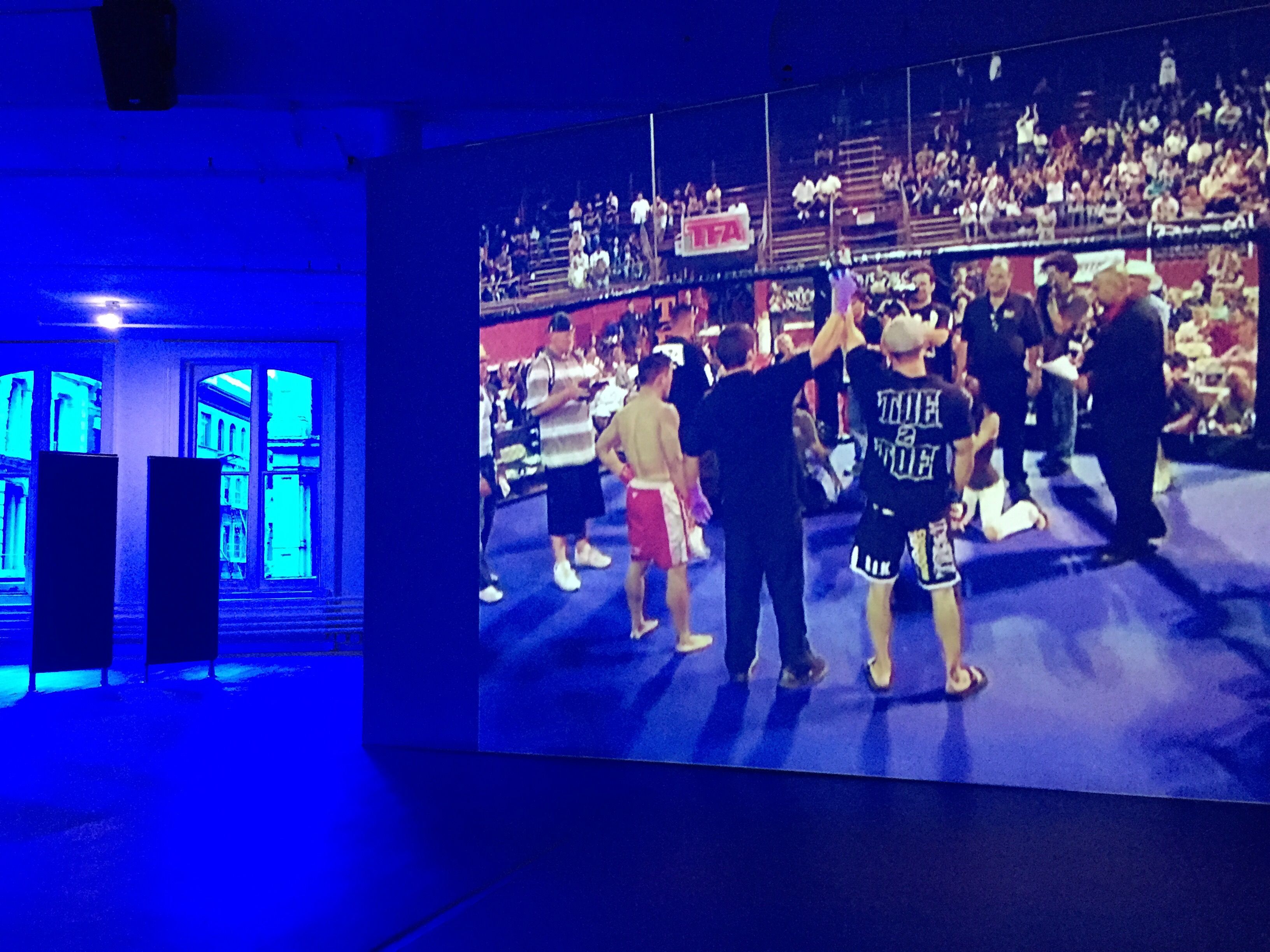 Hito Steyerl, Hito Steyerl at Artists Space : Exhibitions, photo 2
