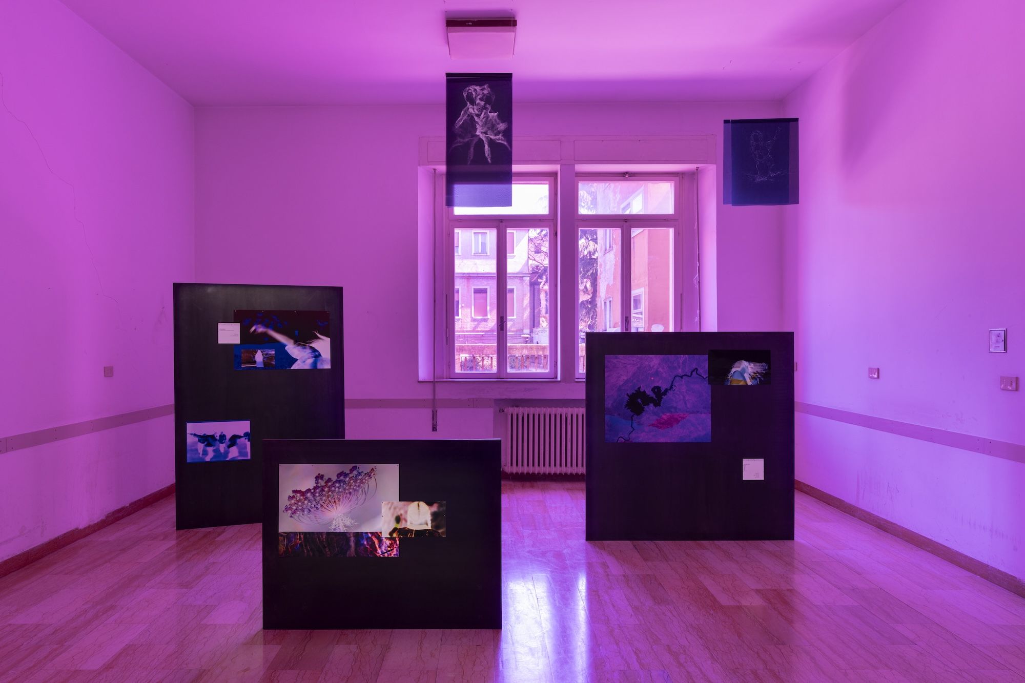 Nebula, image 21 of 24