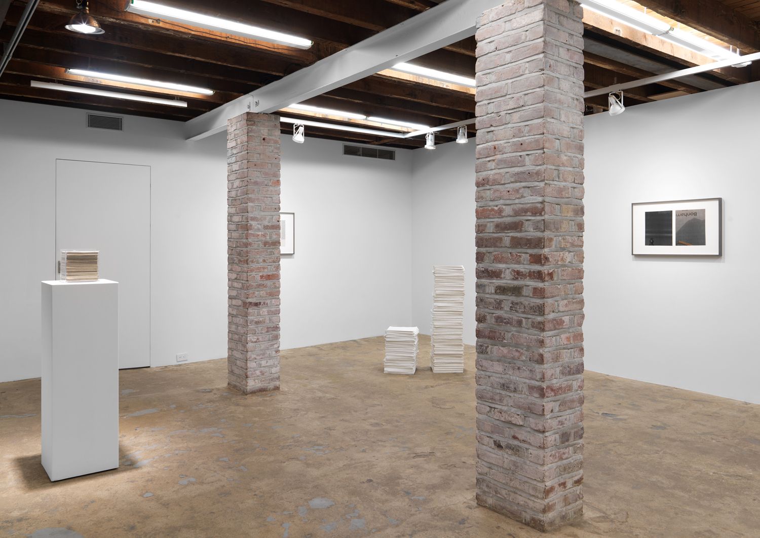 Jennifer Bolande, The Composition of Decomposition at Magenta Plains, photo 7