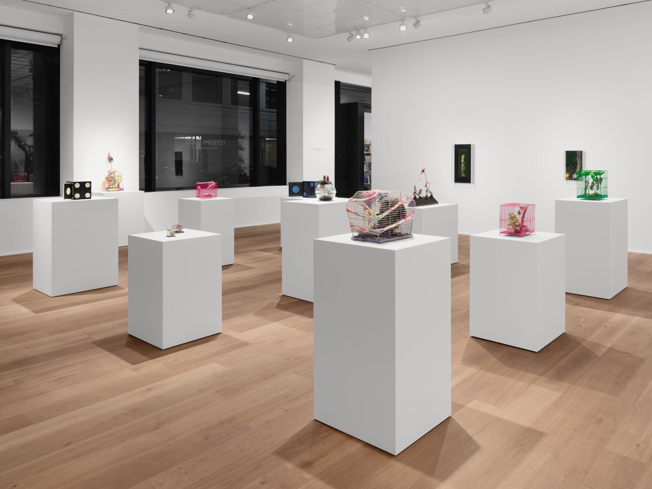 Tetsumi Kudo, Microcosms at Hauser & Wirth, photo 6