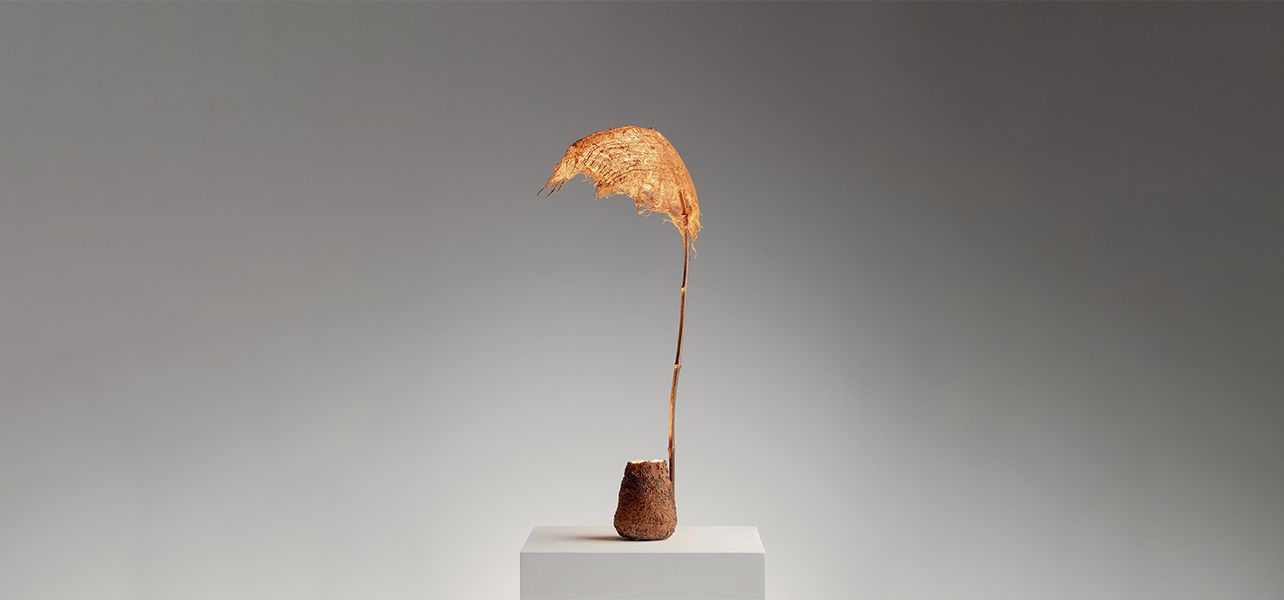 Aki & Arnaud Cooren, image 3 of 3