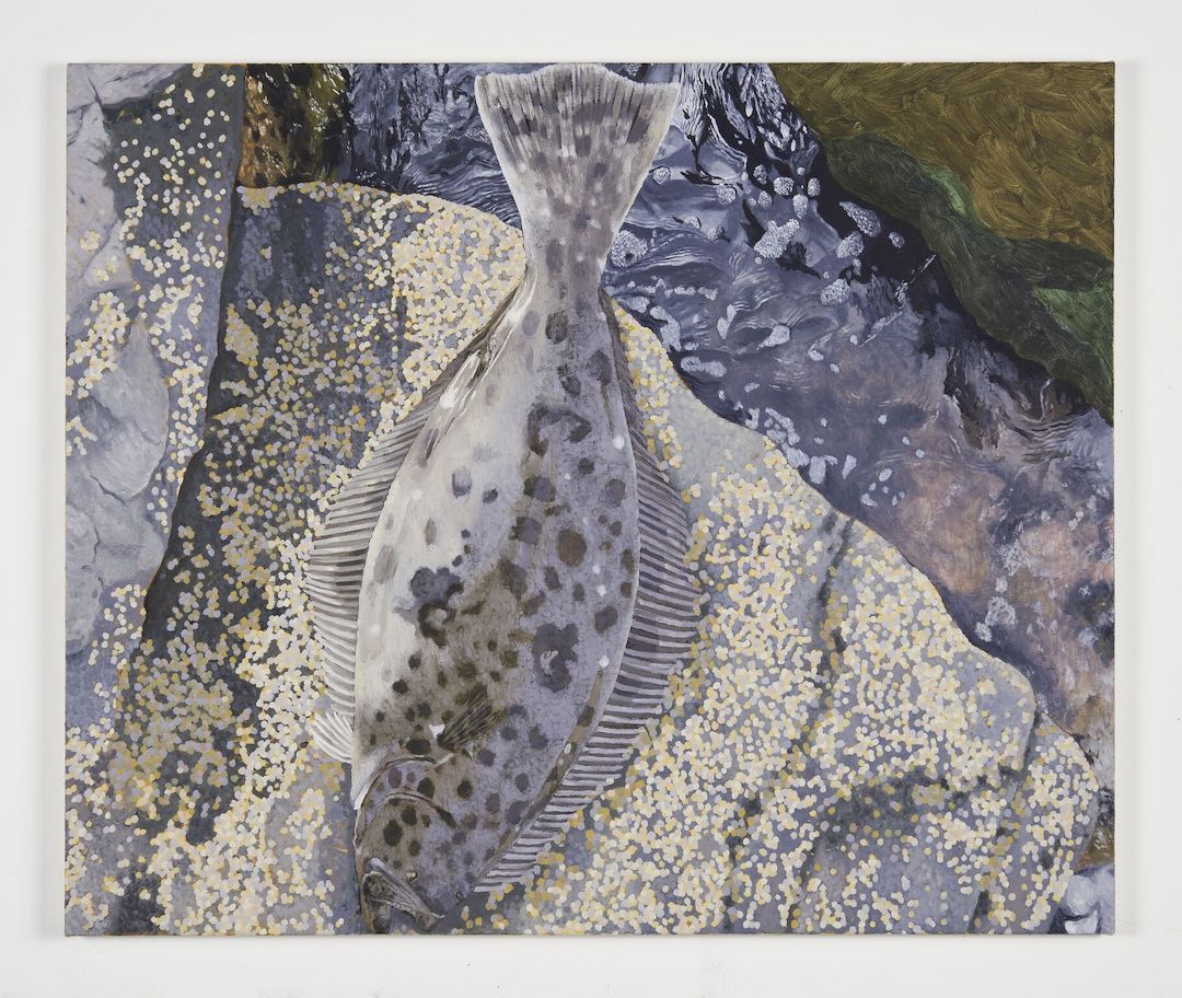 Adam Higgins, Flatfish at Hunter Shaw Fine Art, photo 14