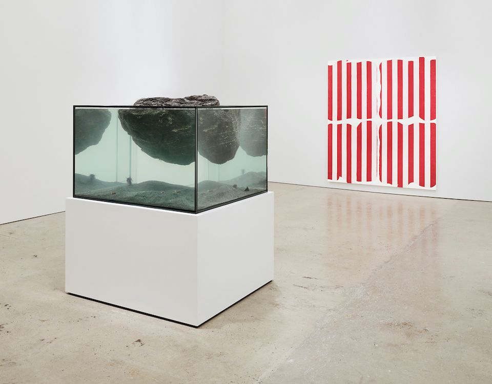 Daniel Buren & Pierre Huyghe, Daniel Buren & Pierre Huyghe at Nahmad Contemporary, photo 3