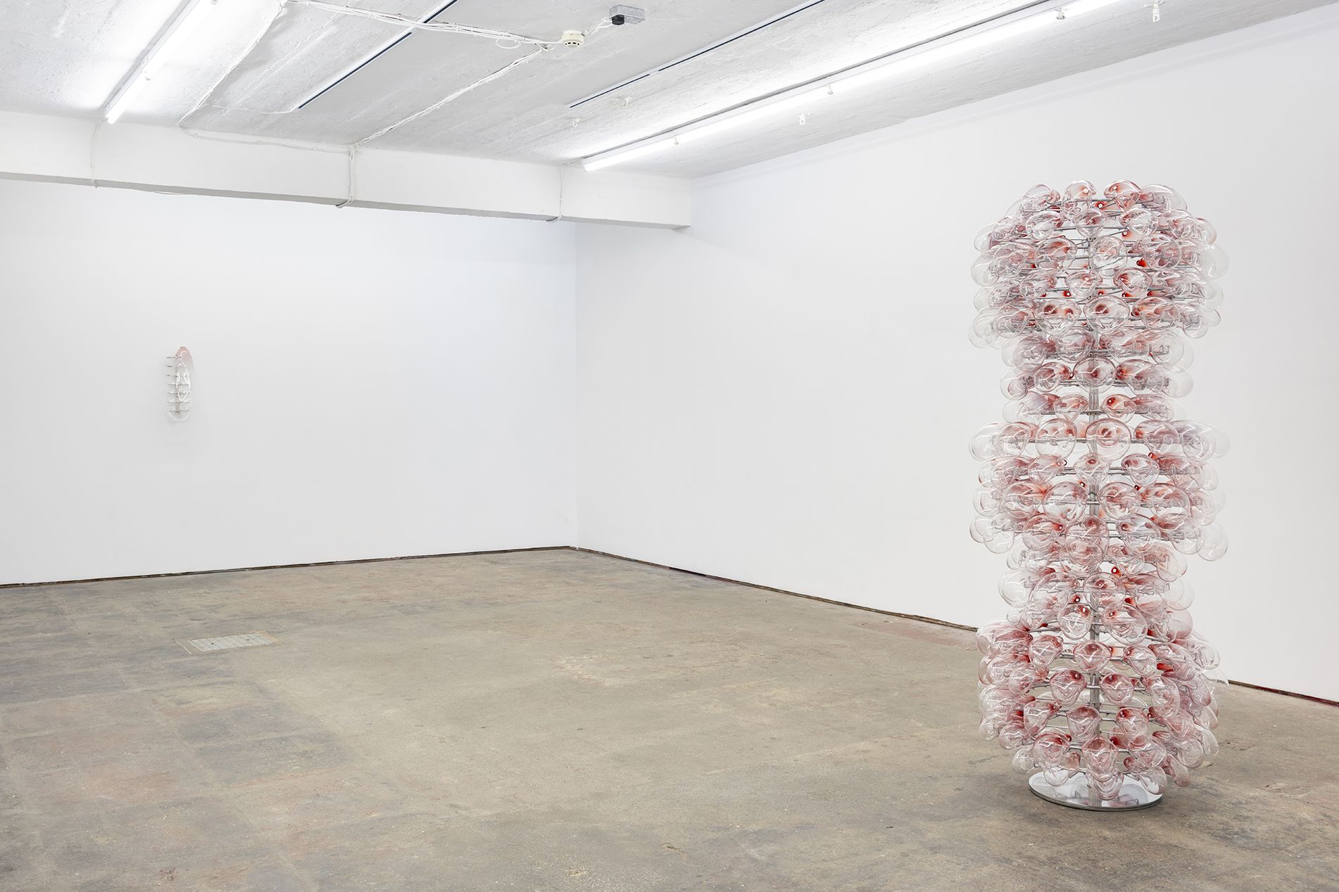 Gabriele Beveridge, Never Ends at Seventeen, photo 10