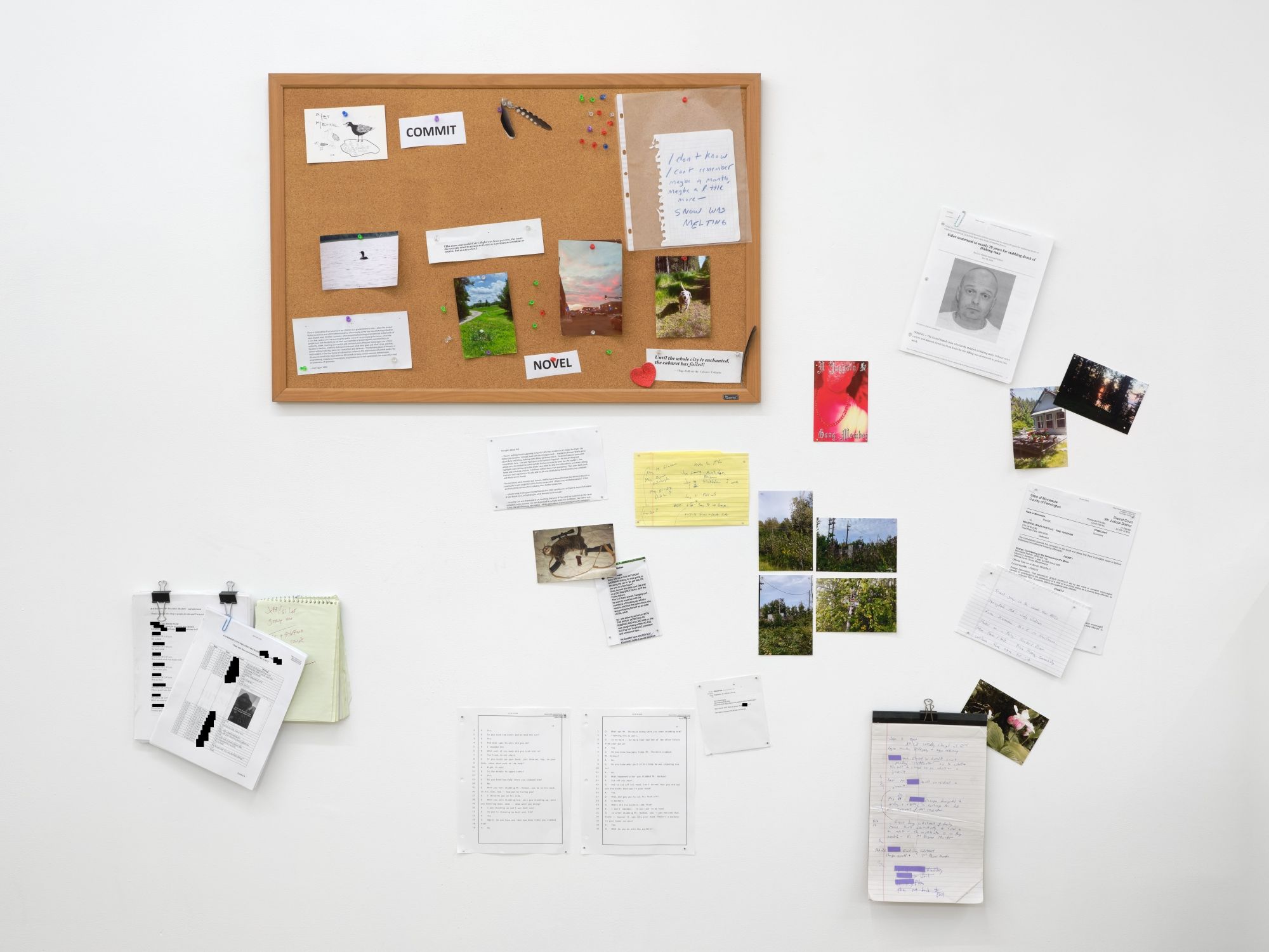 Juliana Halpert & Chris Kraus, Civil Commitment at Bel Ami, photo 5