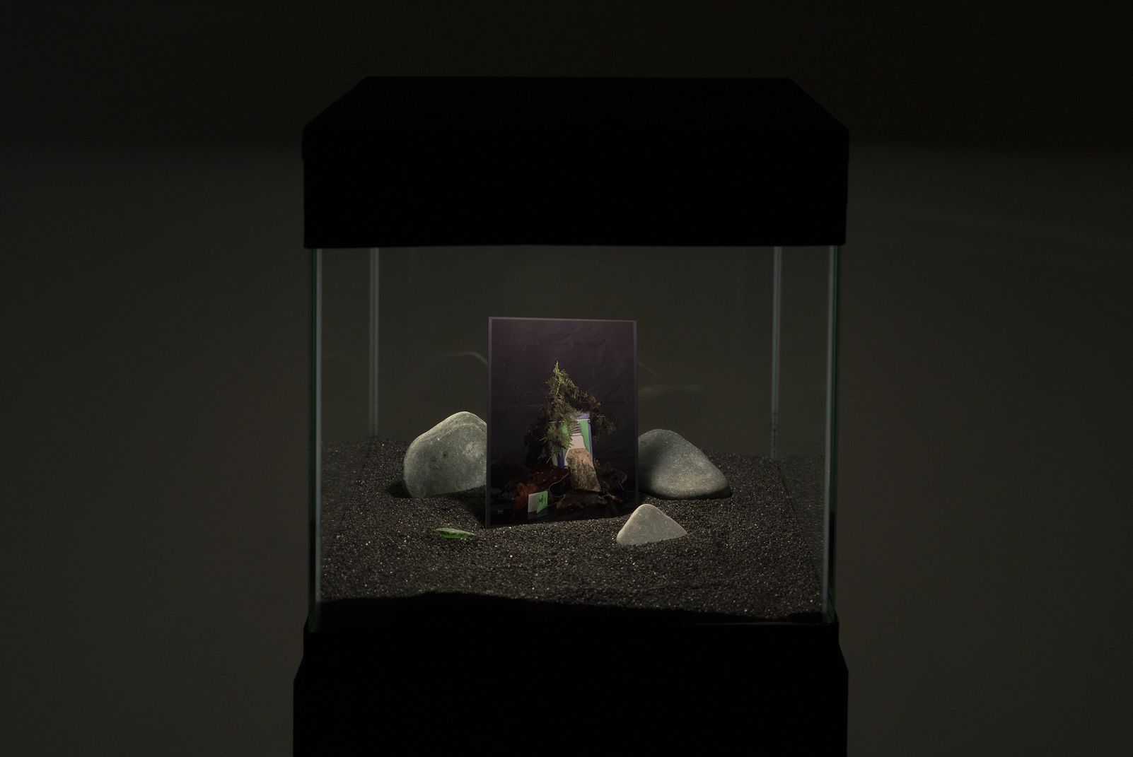 Vanessa Holyoak & Antoine Chesnais, Souvenirs at LA Artcore, photo 6