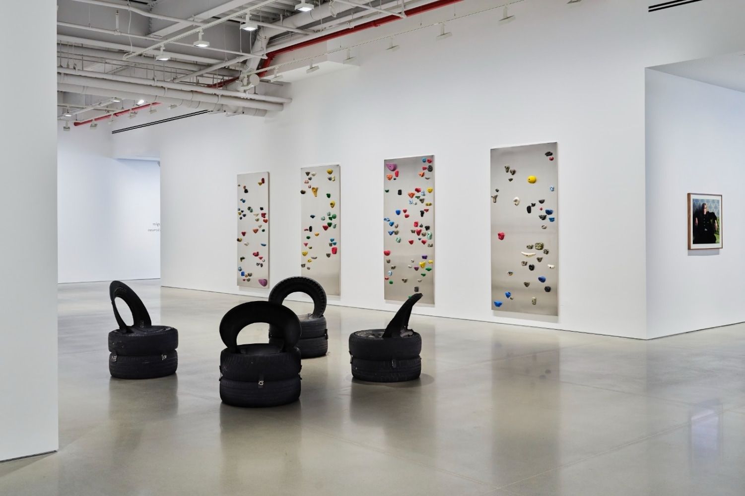 Miguel Calderón, Neurotics Anonymous at Kurimanzutto, photo 3