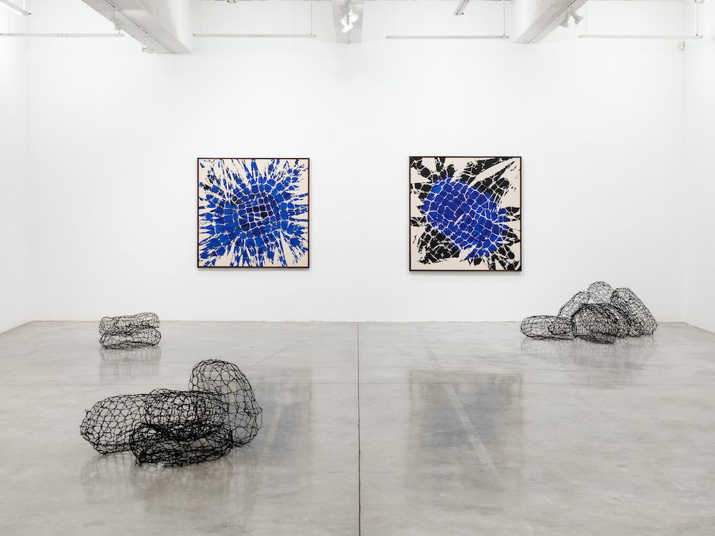 Maia Ruth Lee, The Skin of the Earth Is Seamless at Tina Kim, photo 2
