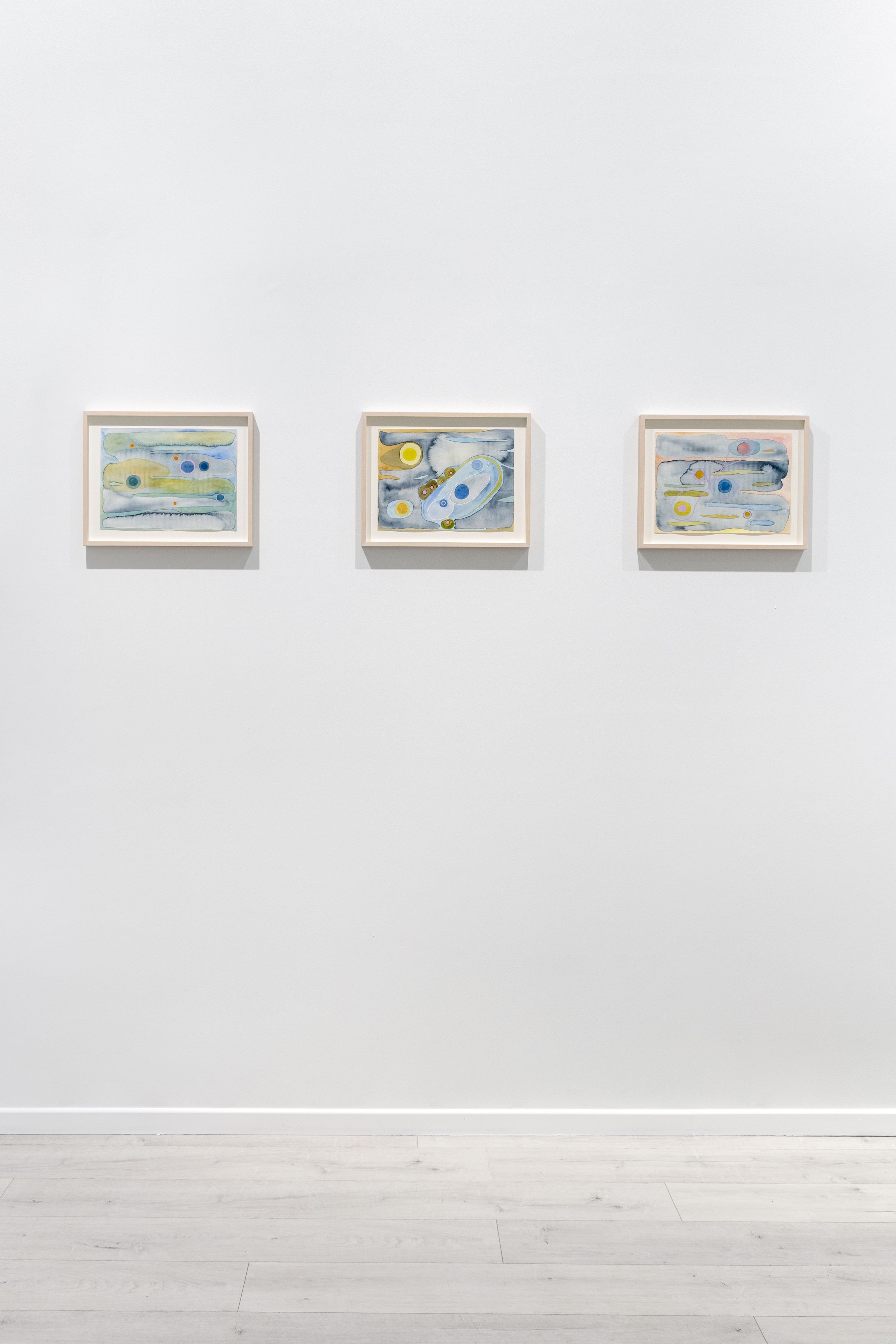 Carin Ellberg, Coastal Settlers and Species from the Sea at Andréhn-Schiptjenko, photo 15
