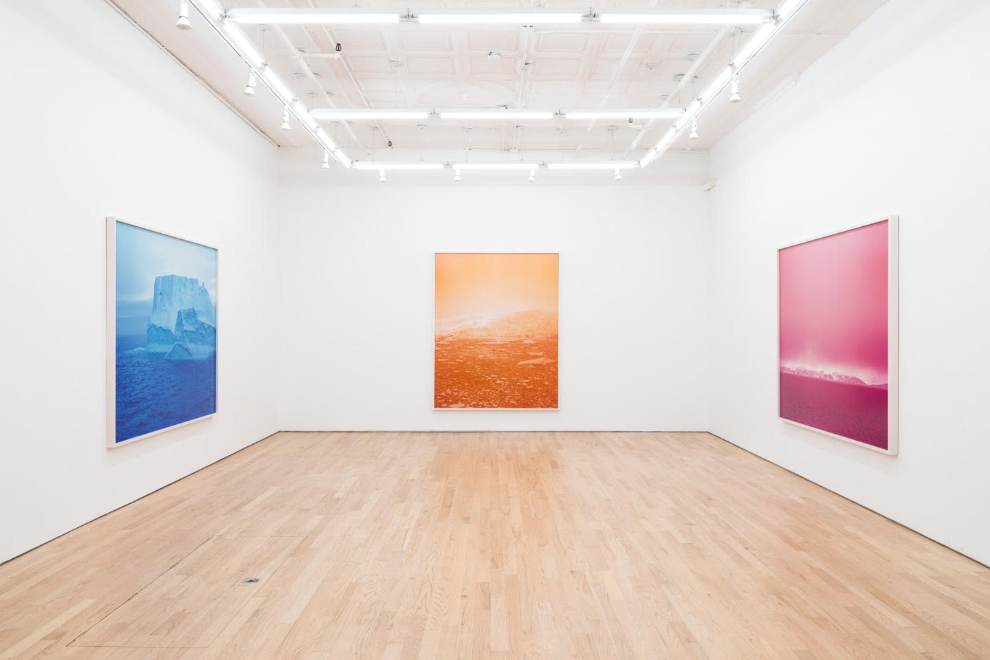 David Benjamin Sherry, Blue Ablation at Nicelle Beauchene, photo 5