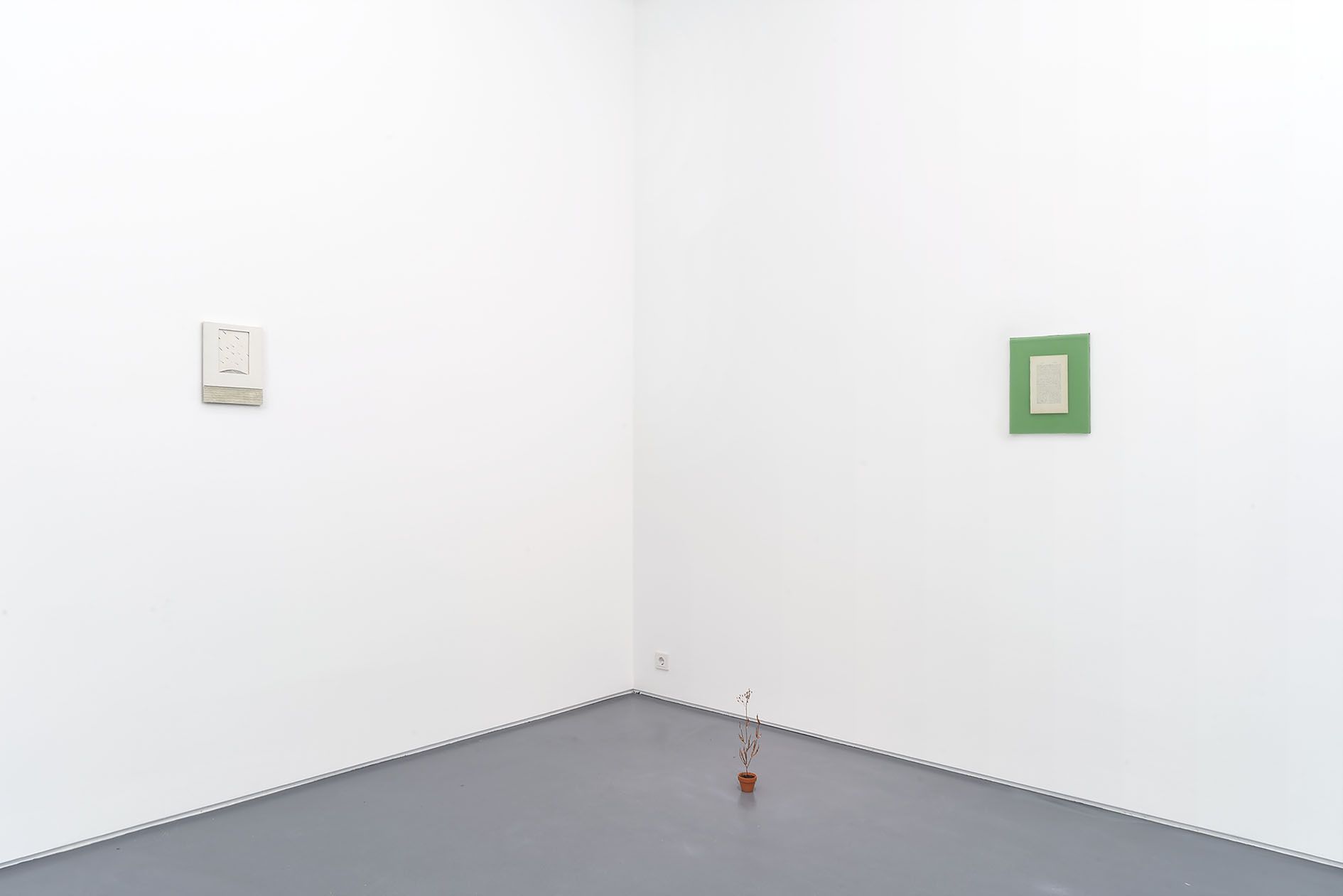 José Montealegre, Nuevo Mundo at Mountains, photo 6