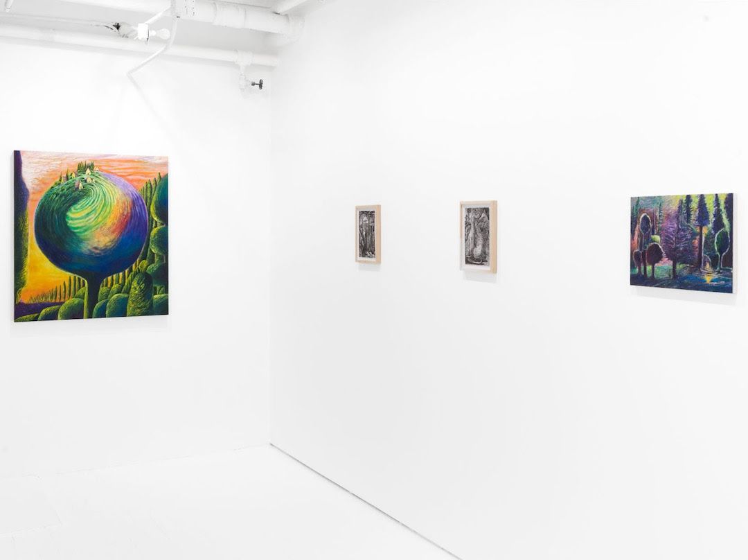 Raymie Iadevaia, Nesting in Deep Time at Jack Barrett, photo 7