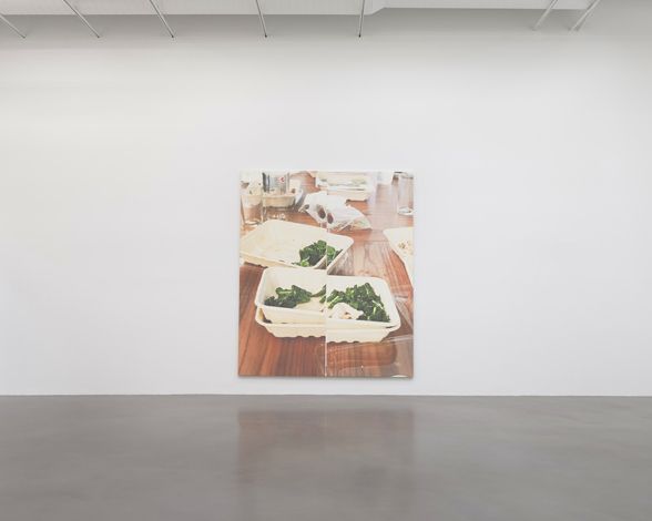 Wade Guyton, Patagonia at Petzel, photo 2