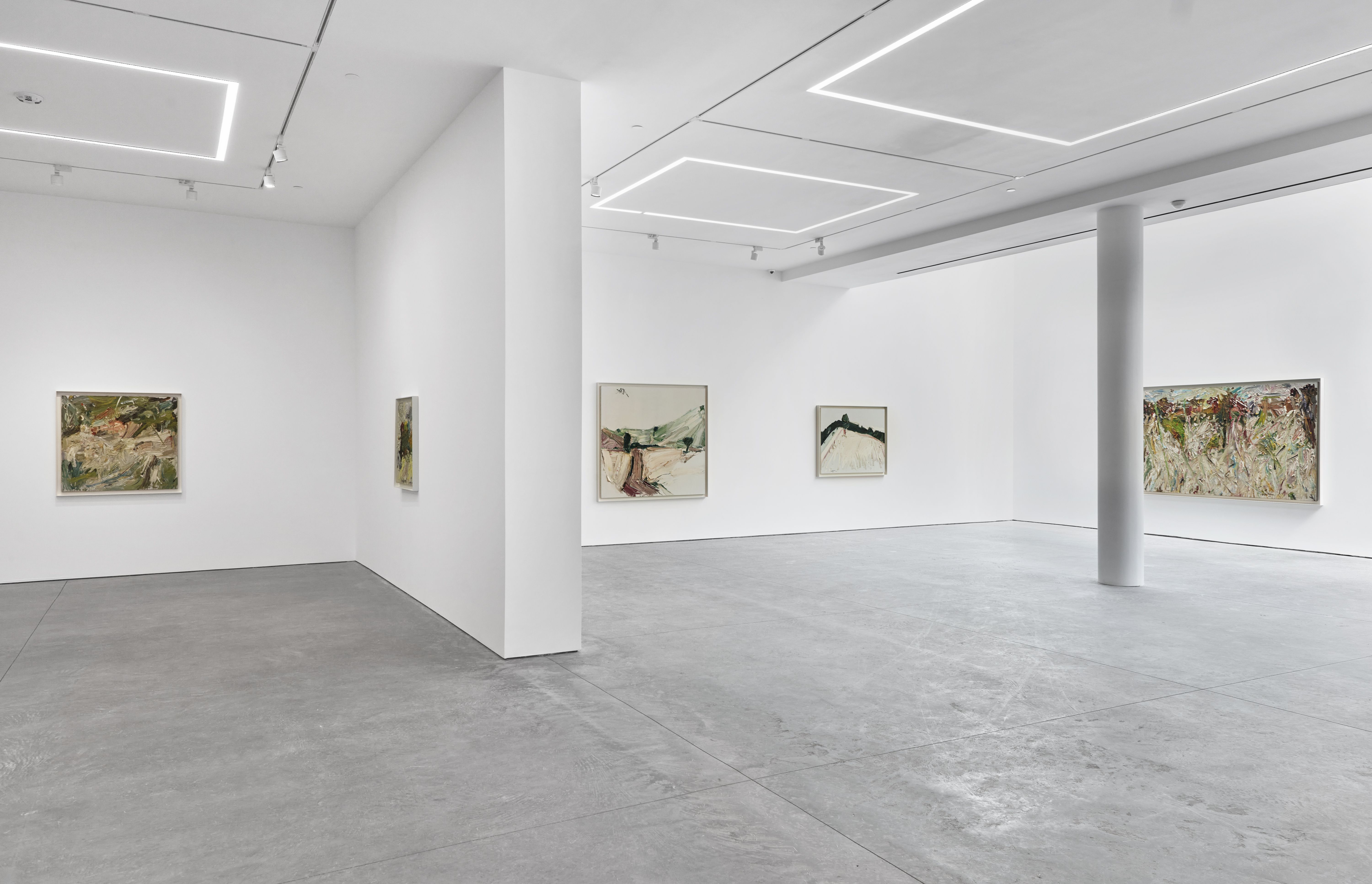 Manoucher Yektai, Landscapes at Karma, photo 8