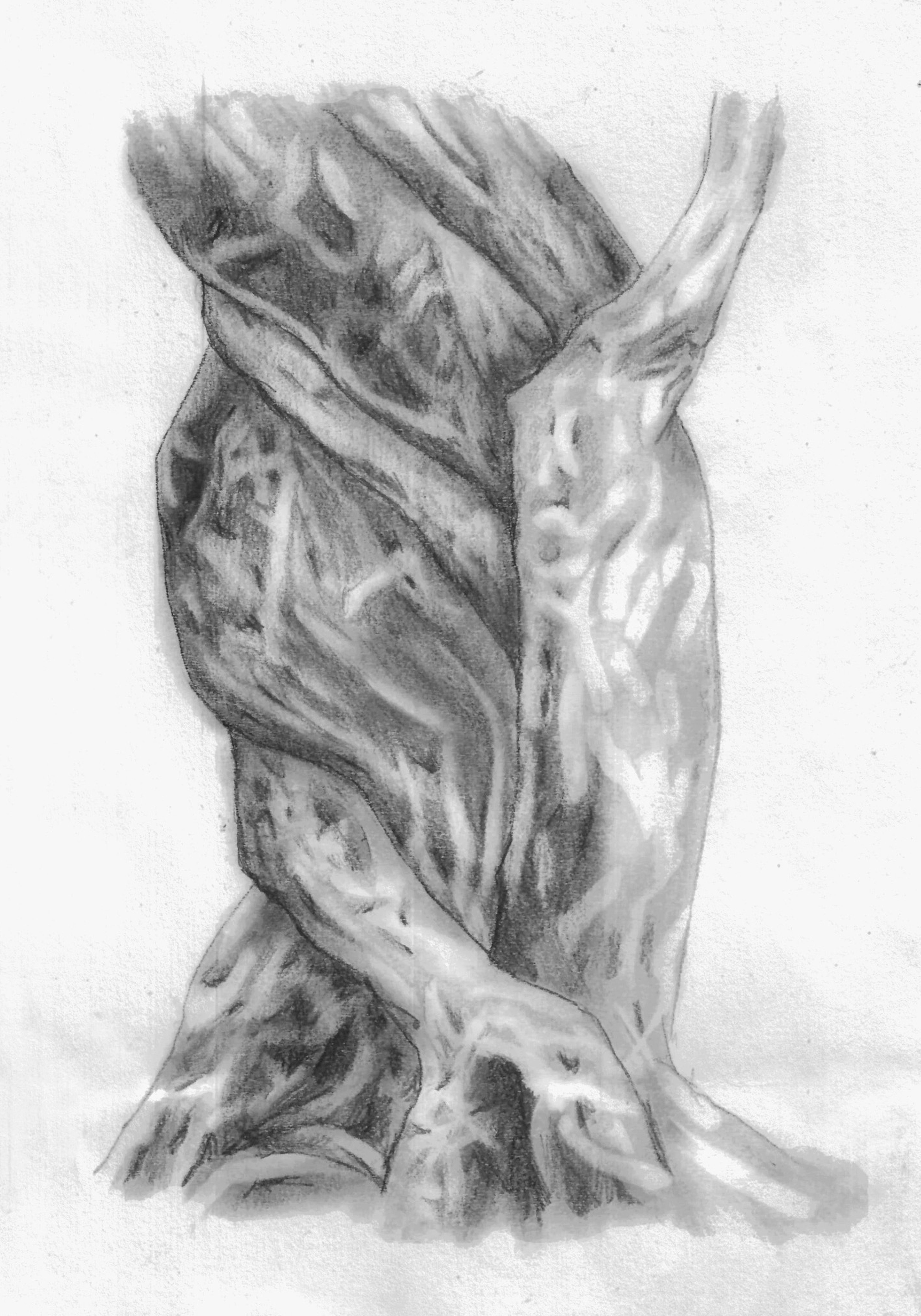 Sessa Englund, All Made of Tender Flesh, All Put Together at Haul, photo 7