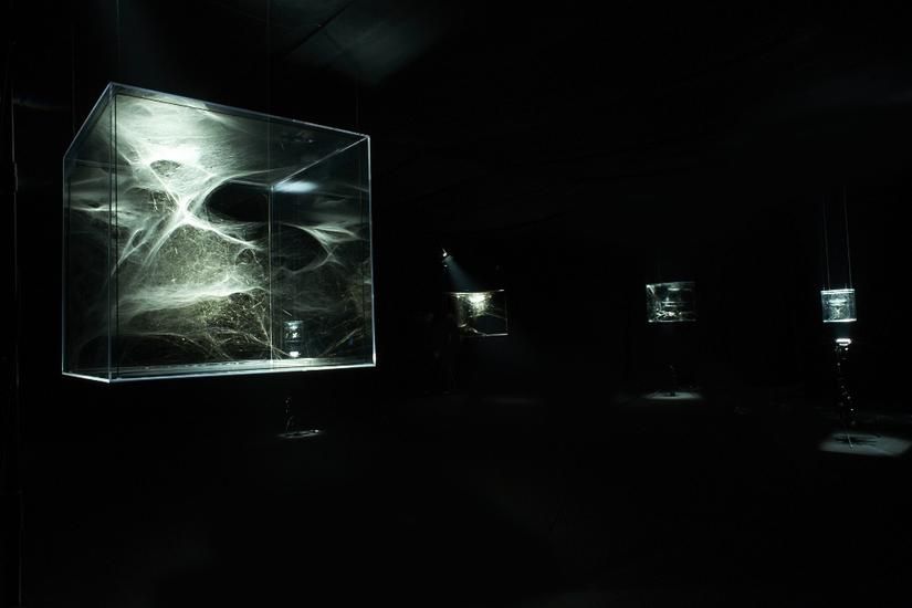 Tomás Saraceno, Tomás Saraceno at Tanya Bonakdar, photo 3
