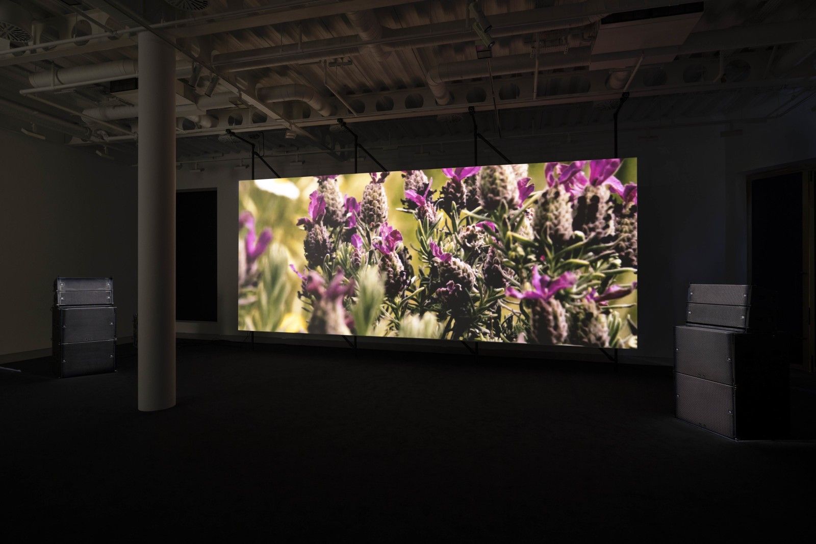 Philippe Parreno, El Almendral at Pilar Corrias, photo 4