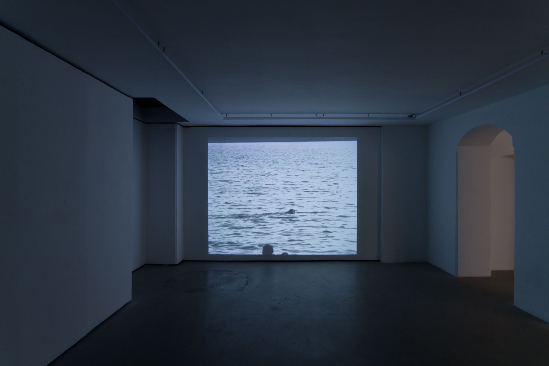 The Perennials, The Perennials at Balice Hertling, photo 10