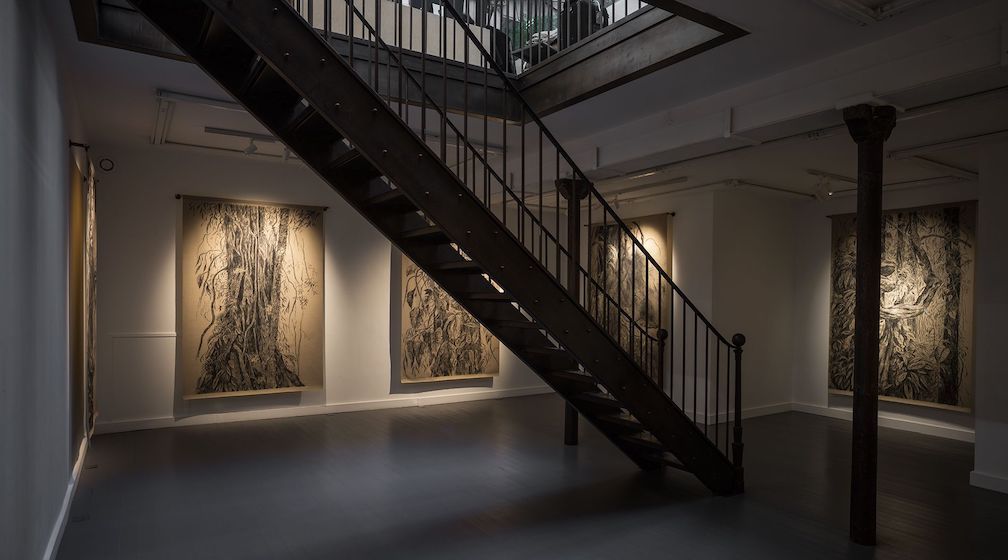 Nohemí Perez, image 7 of 9