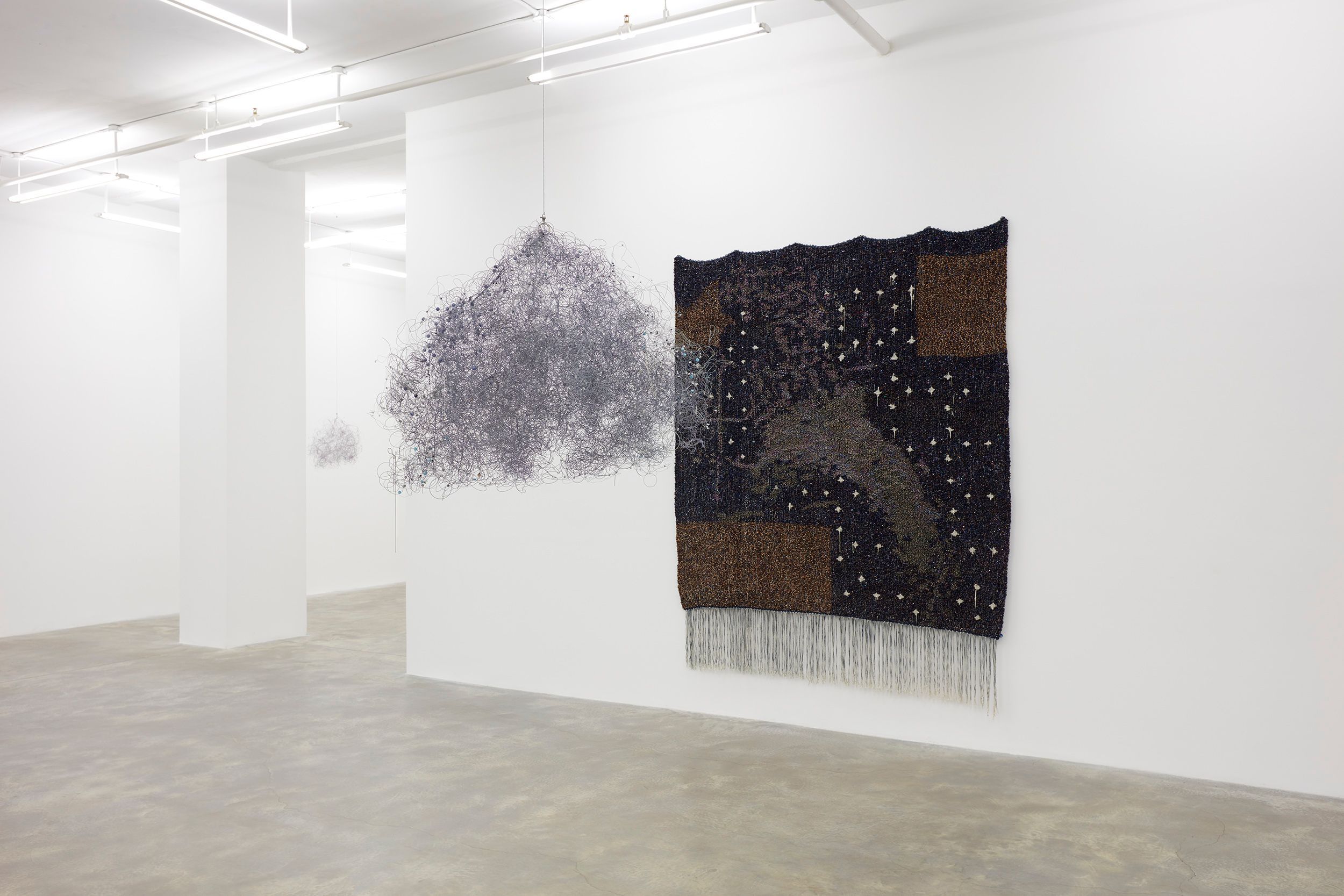 Igshaan Adams, Veld Wen at Casey Kaplan, photo 3