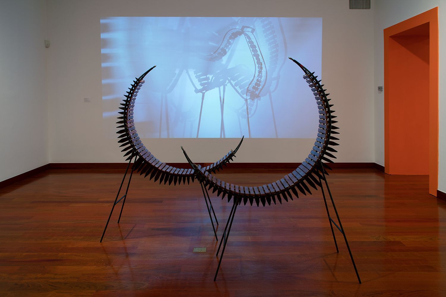 Joaquín Orellana, The Spine of Music at Americas Society, photo 16