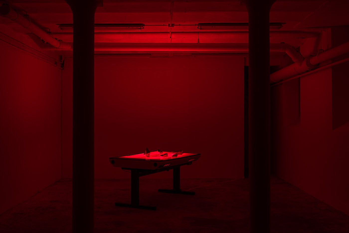 Caroline Corbasson, image 6 of 6