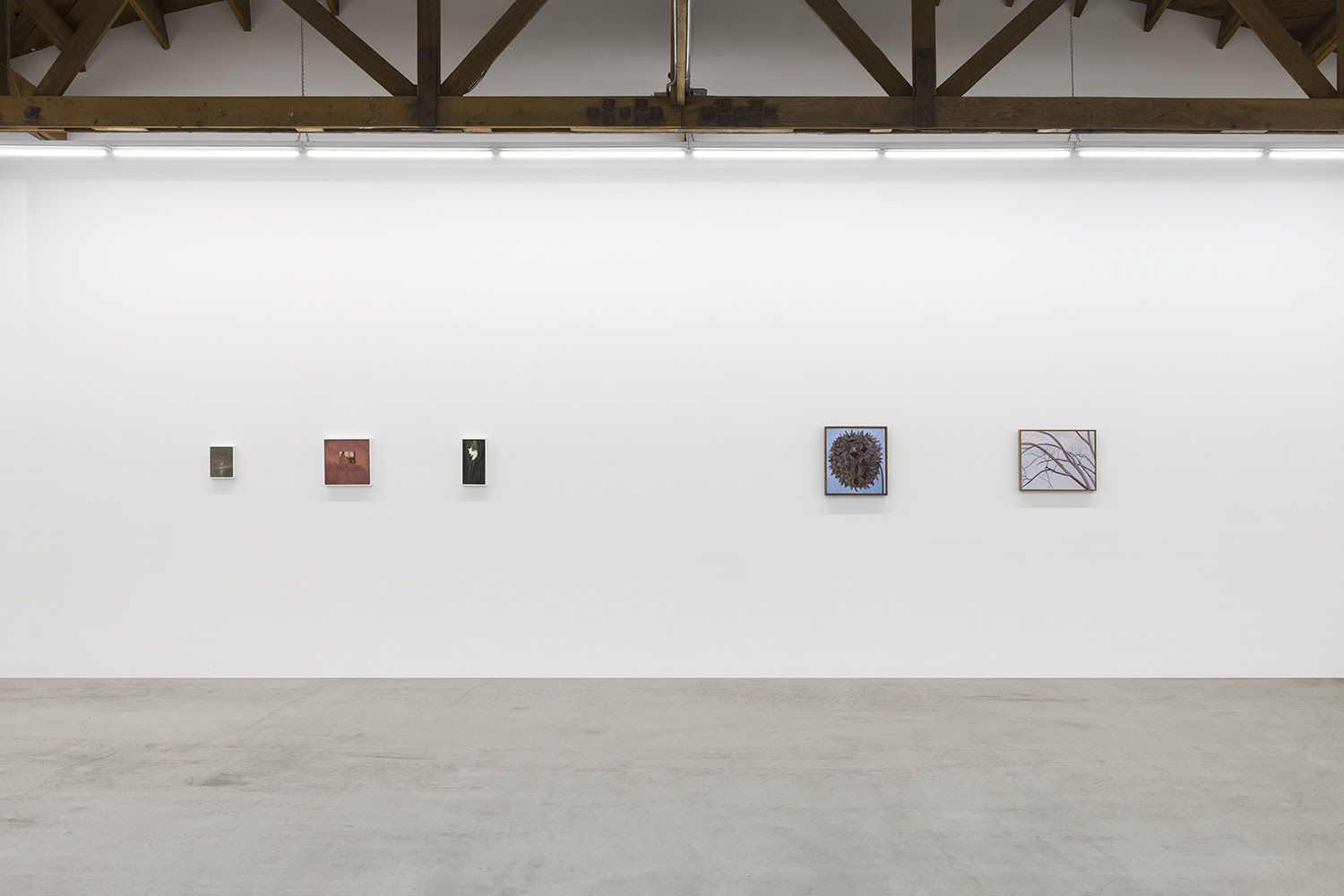 Lois Dodd & Ellen Siebers, Lois Dodd & Ellen Siebers at Parrasch Heijnen, photo 4