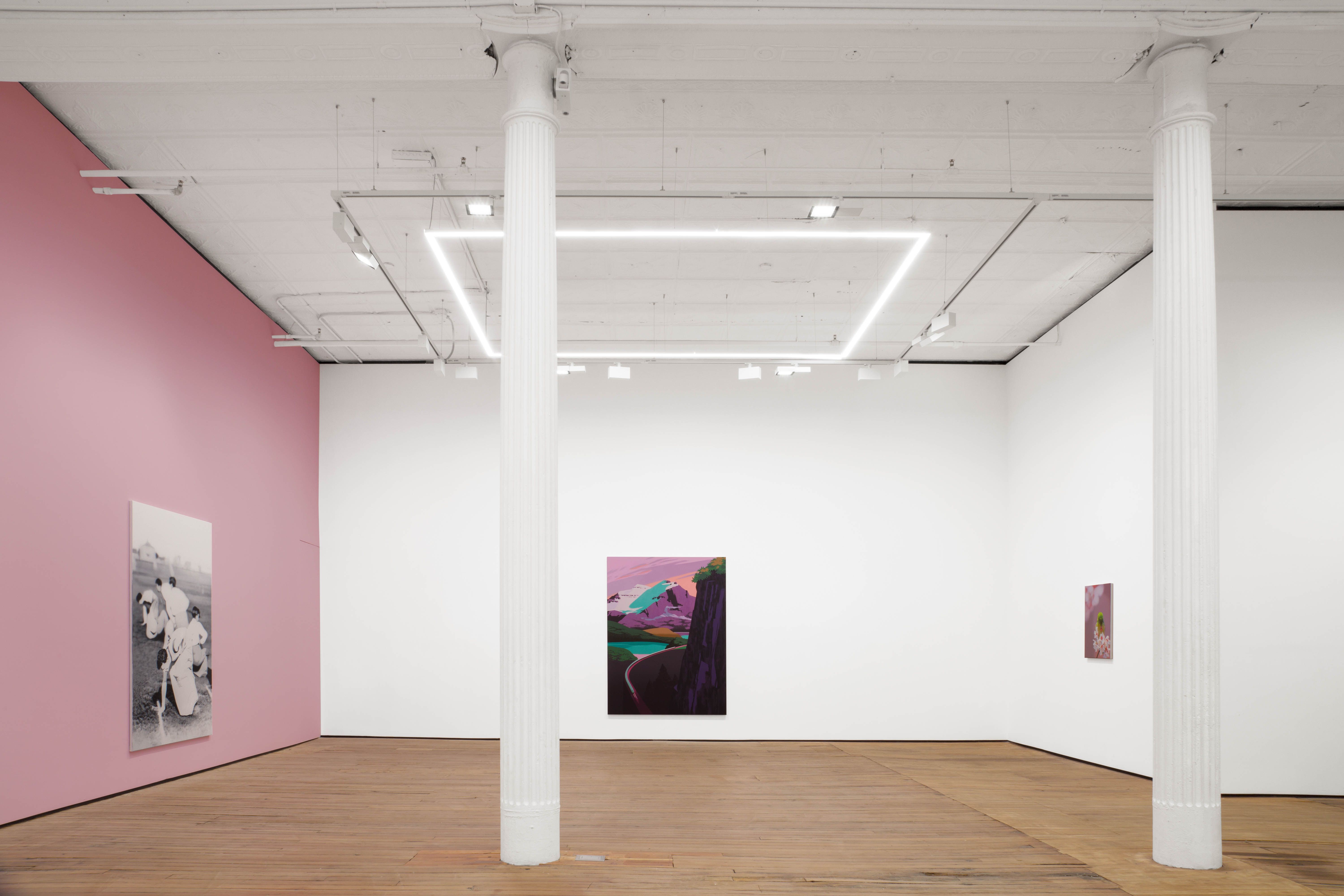 Alex Dordoy, The Flowers and the Hours at Grimm, photo 3