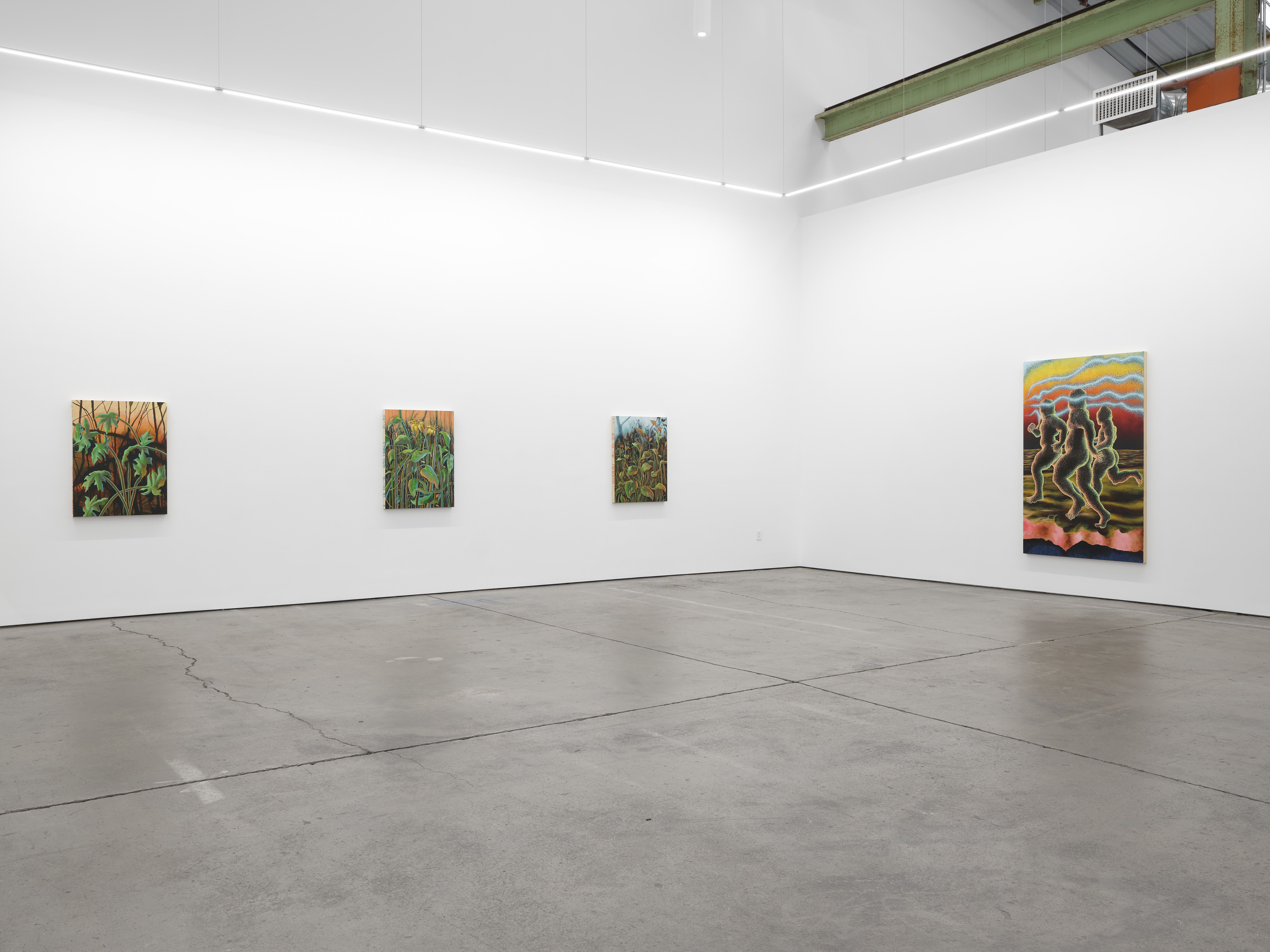 Didier William, Beyond the Bodies’ Edge at Altman Siegel, photo 6