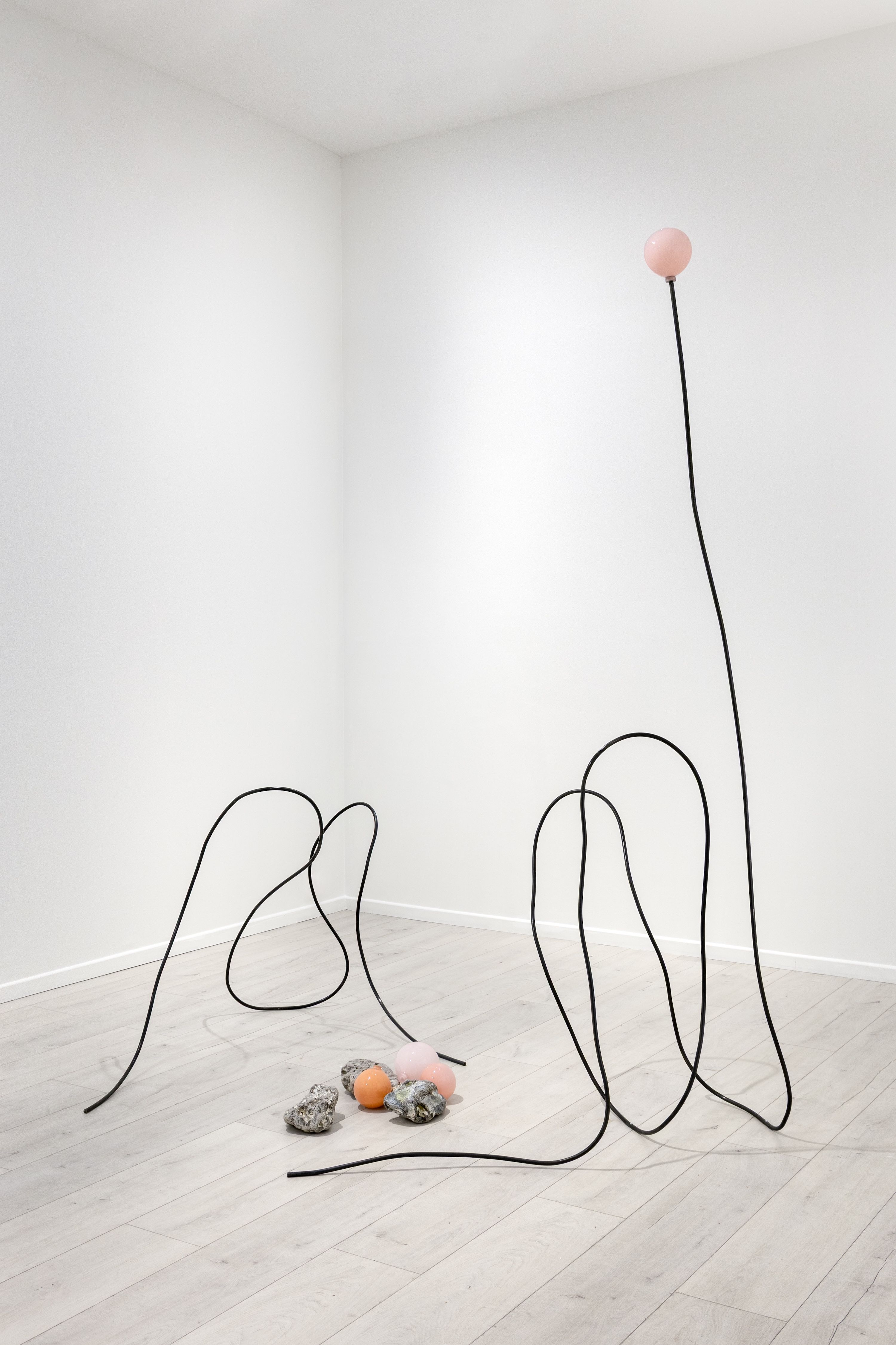 Carin Ellberg, Coastal Settlers and Species from the Sea at Andréhn-Schiptjenko, photo 17