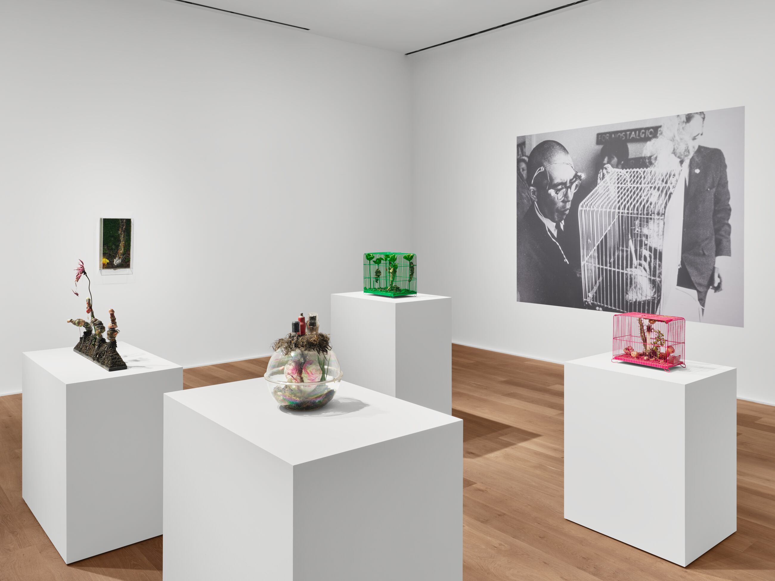 Tetsumi Kudo, Microcosms at Hauser & Wirth, photo 2