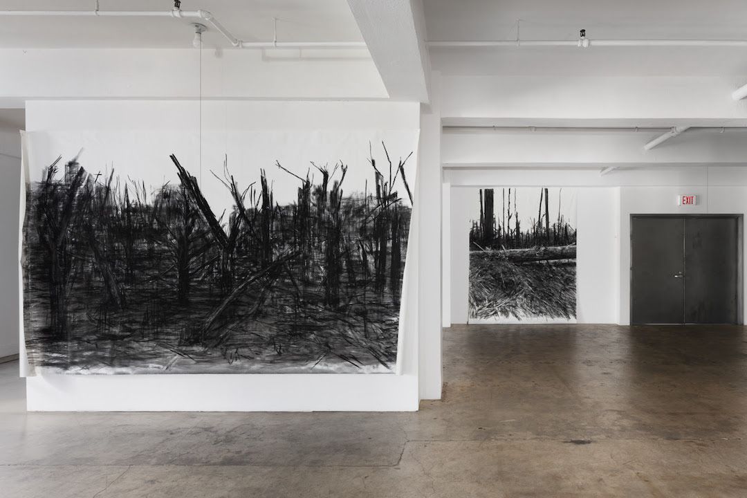 Haley Mellin, Conservation Imperatives at Giovanni's Room, photo 3