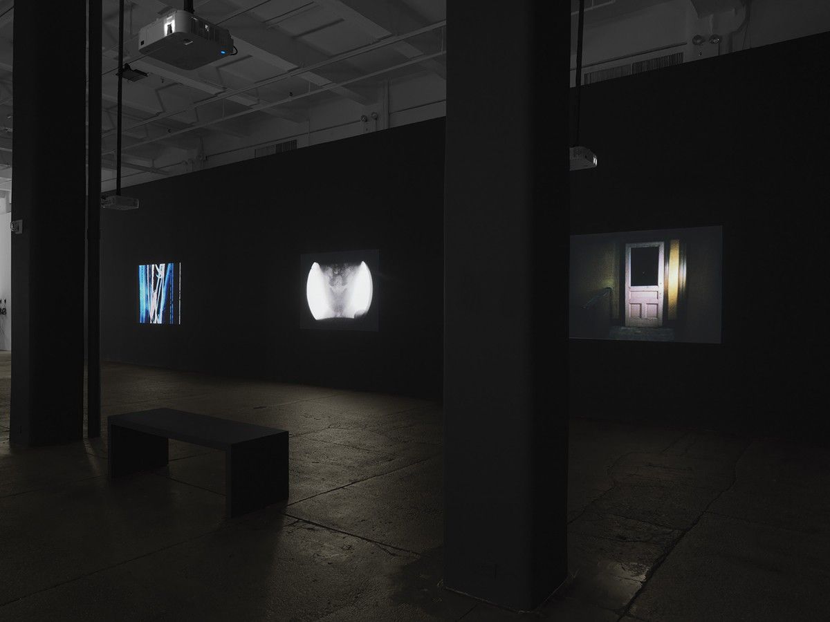 Ana Mendieta, Experimental and Interactive Films at Lelong & Co, photo 5