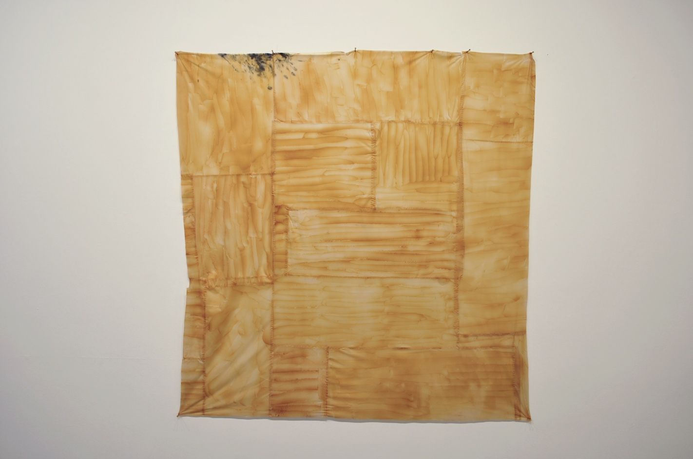 Shani Strand, 100% Salt at Housing, photo 2