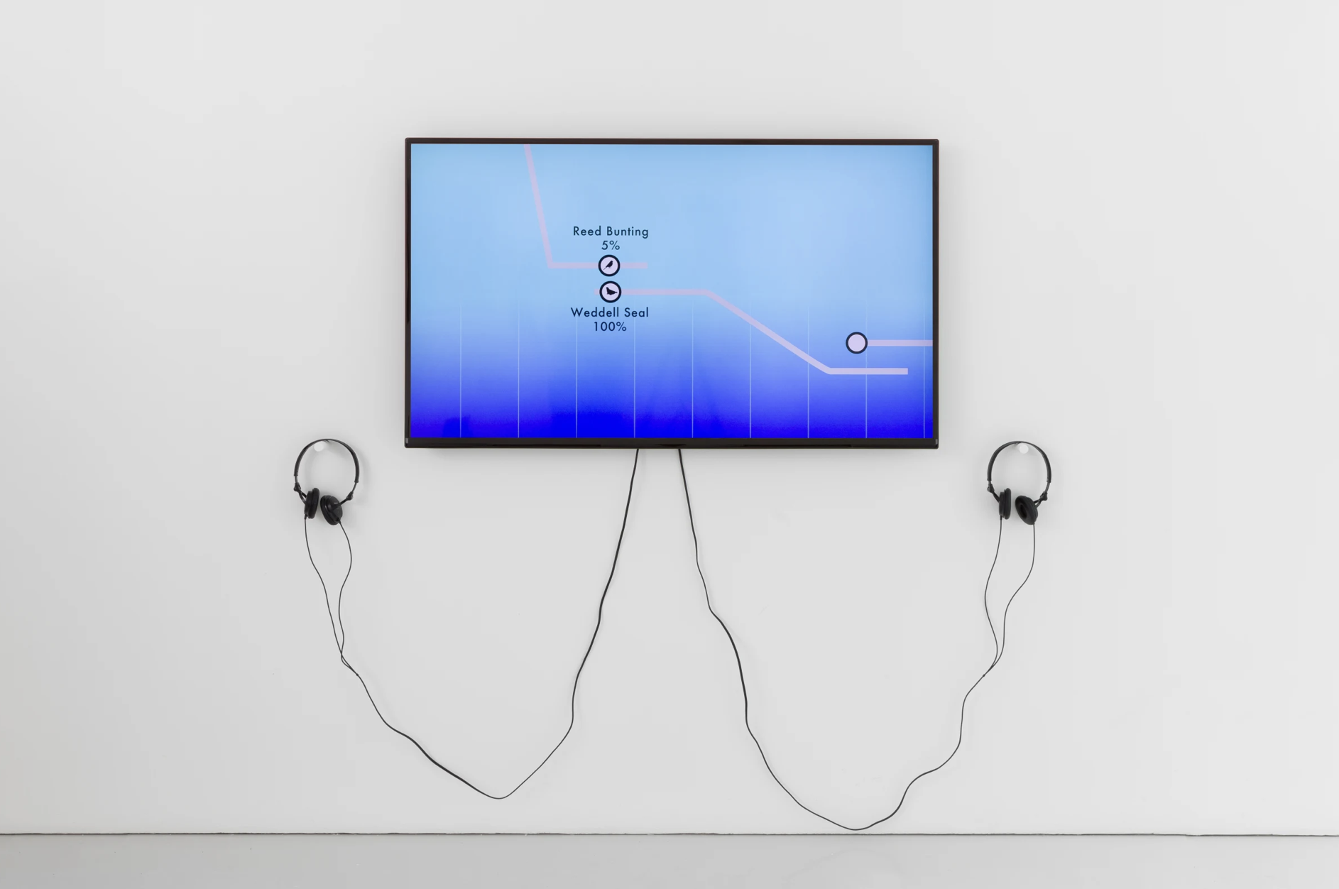 Marcus Coates, Between Stories at Kate MacGarry, photo 4