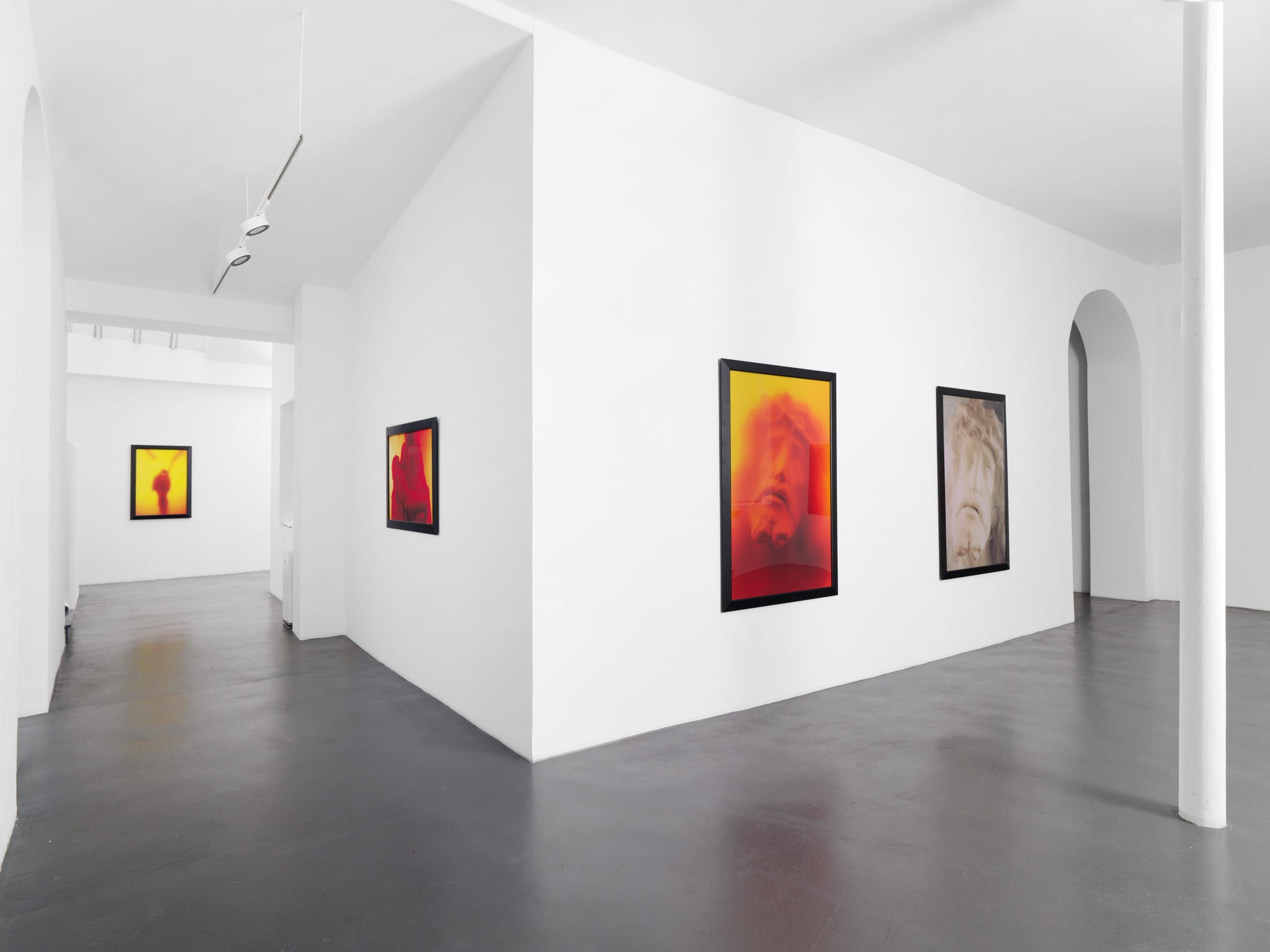 Andres Serrano, A Personal Mythology Immersions and Bodily Fluids at Nathalie Obadia, photo 4