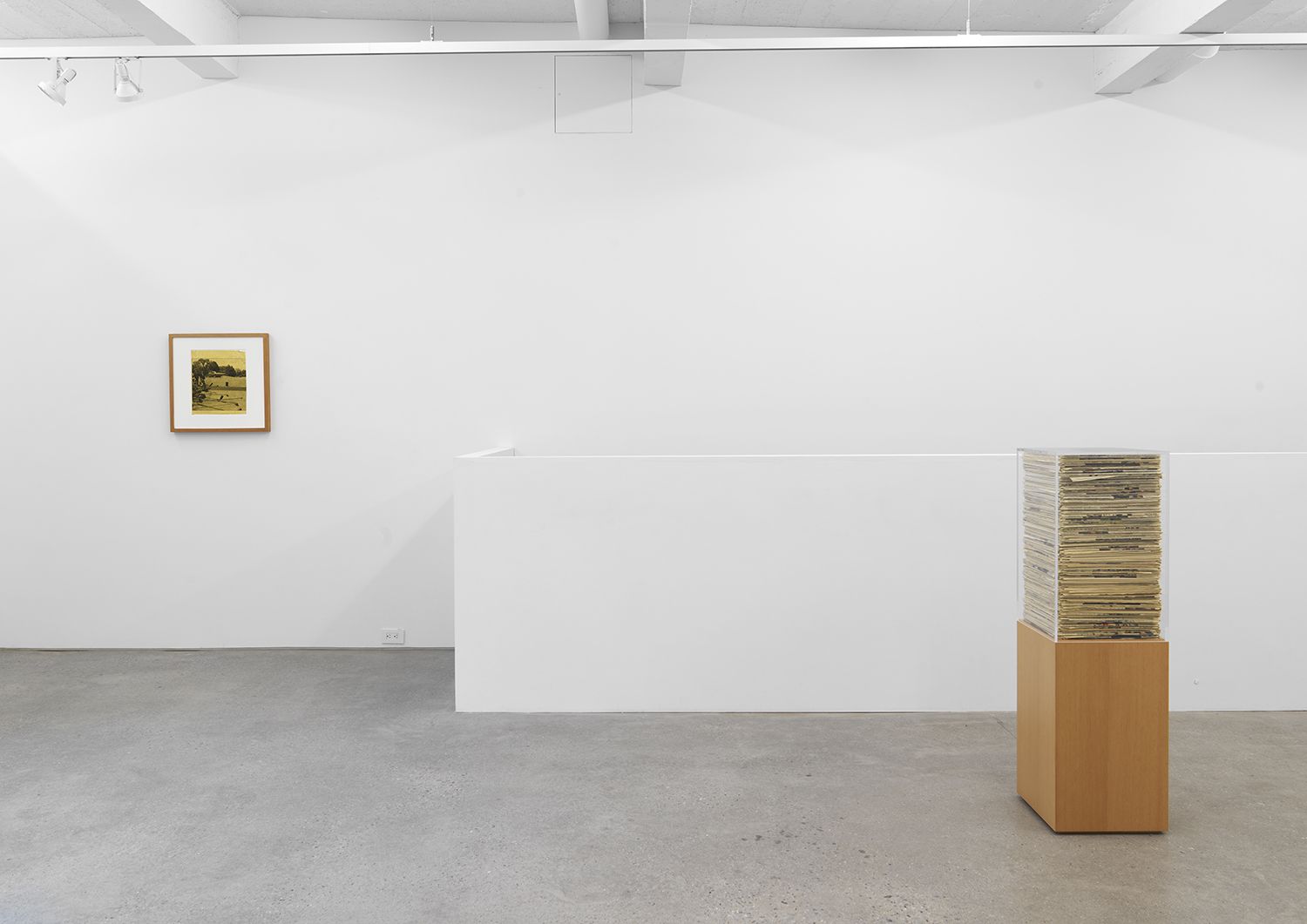 Jennifer Bolande, The Composition of Decomposition at Magenta Plains, photo 6