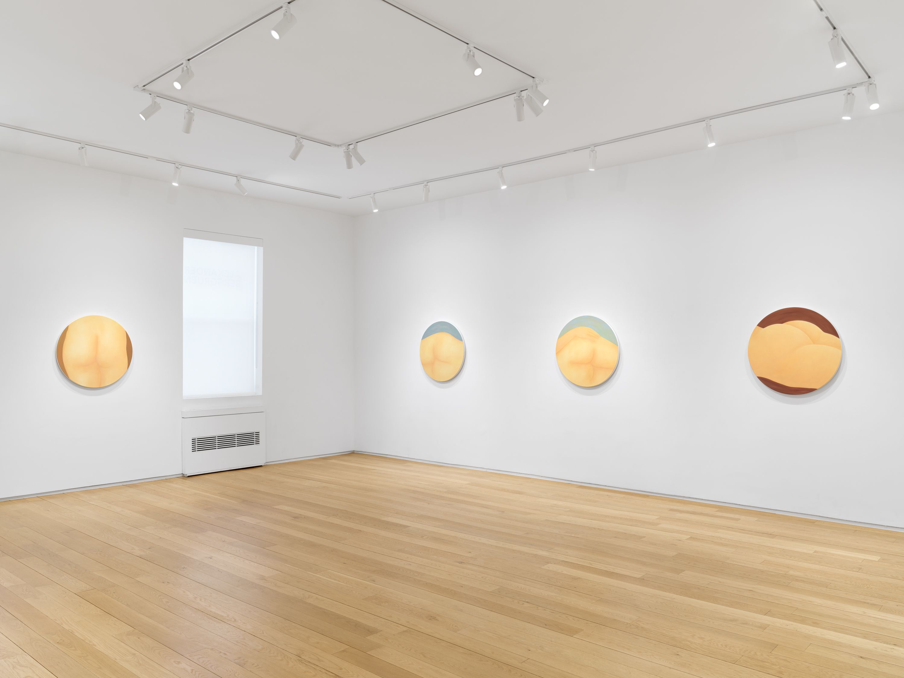 Elana Bowsher, Pas de Deux at Alexander Berggruen, photo 6