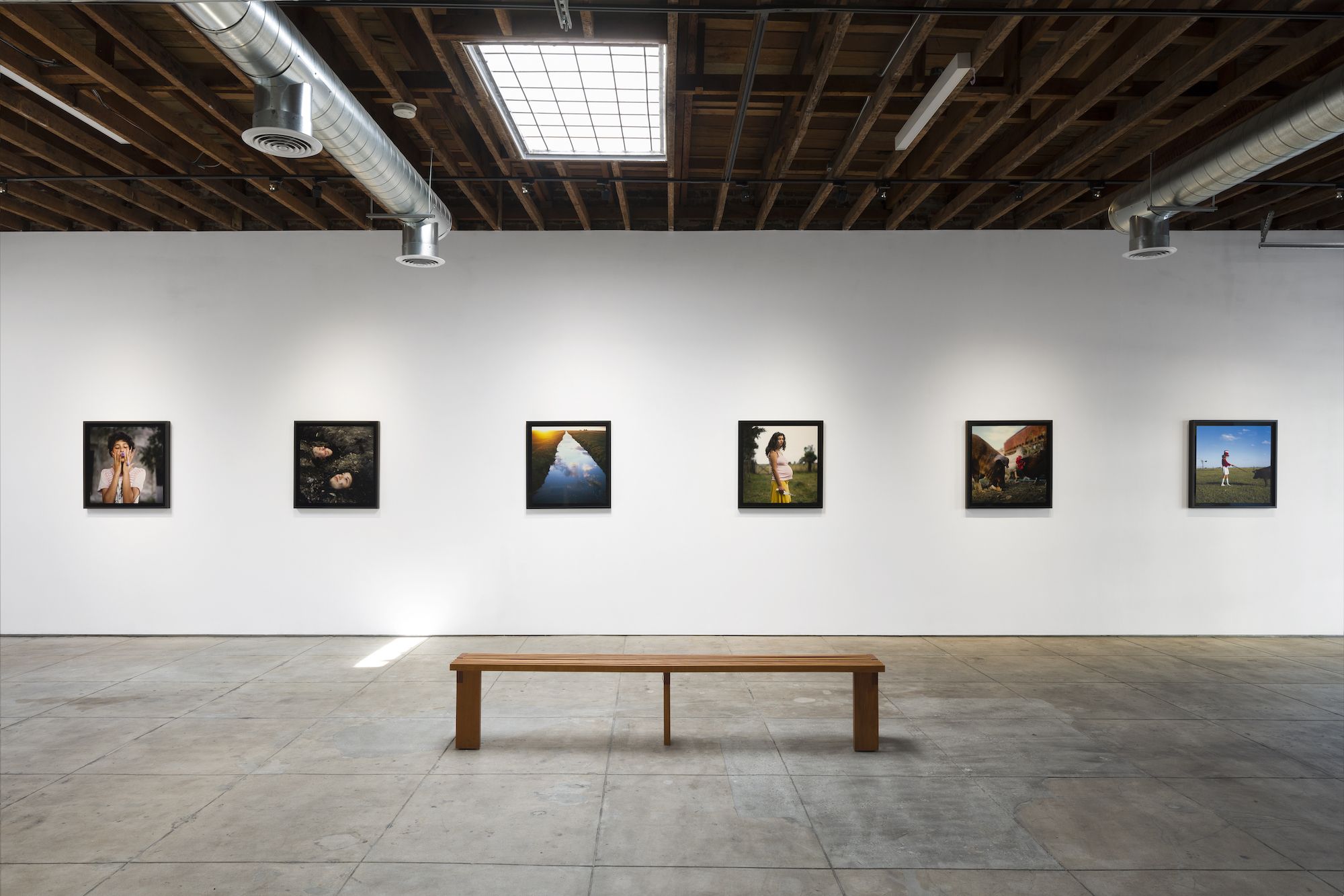 Alessandra Sanguinetti, The Sixth Day at Webber, photo 3