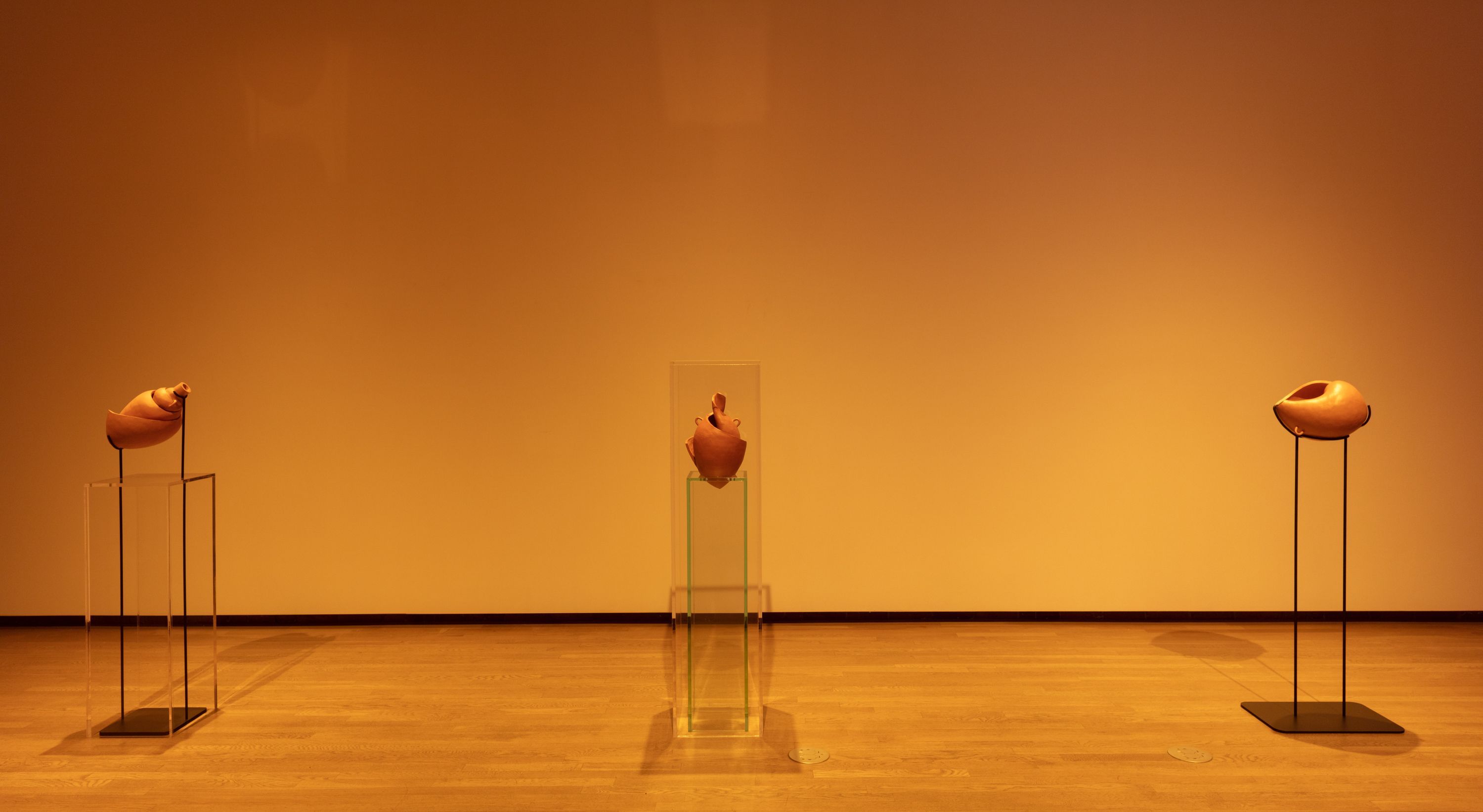Cammie Staros, What Will Have Being at Shulamit Nazarian, photo 3