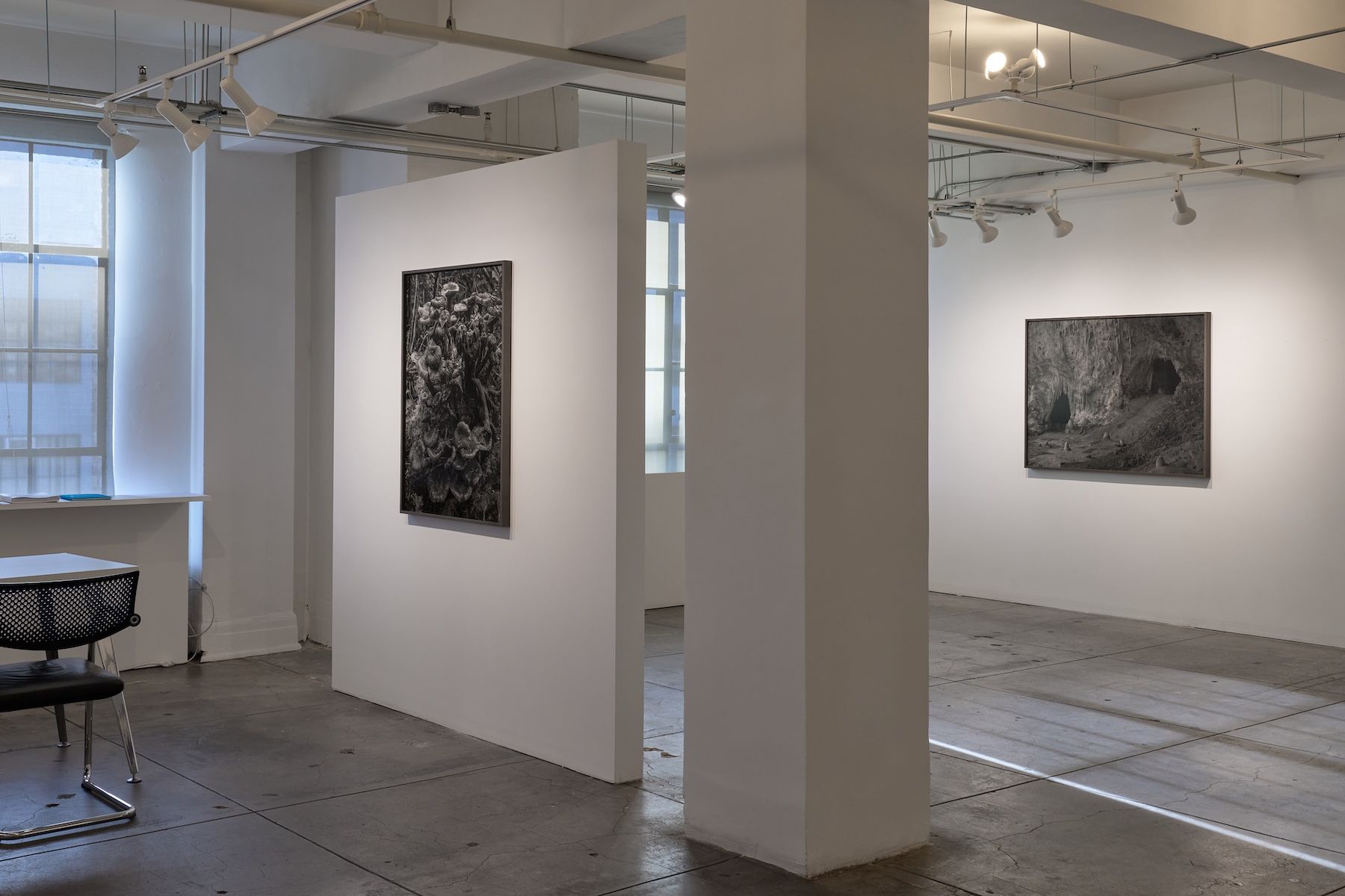 Ron Jude, Low Tide at Gallery Luisotti, photo 18