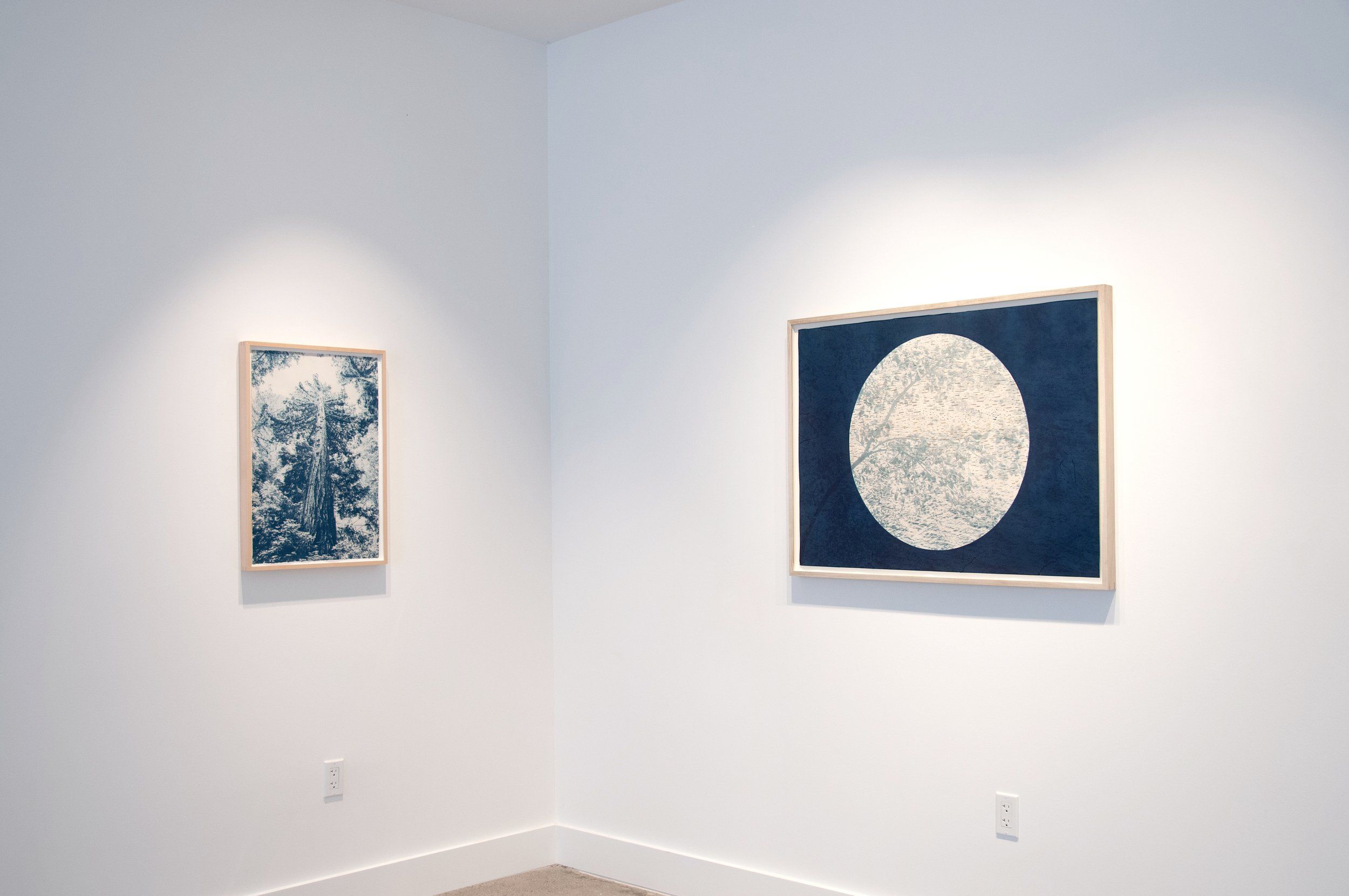 Dora Somosi, Understory, In Blue at Sarah Shepard, photo 2