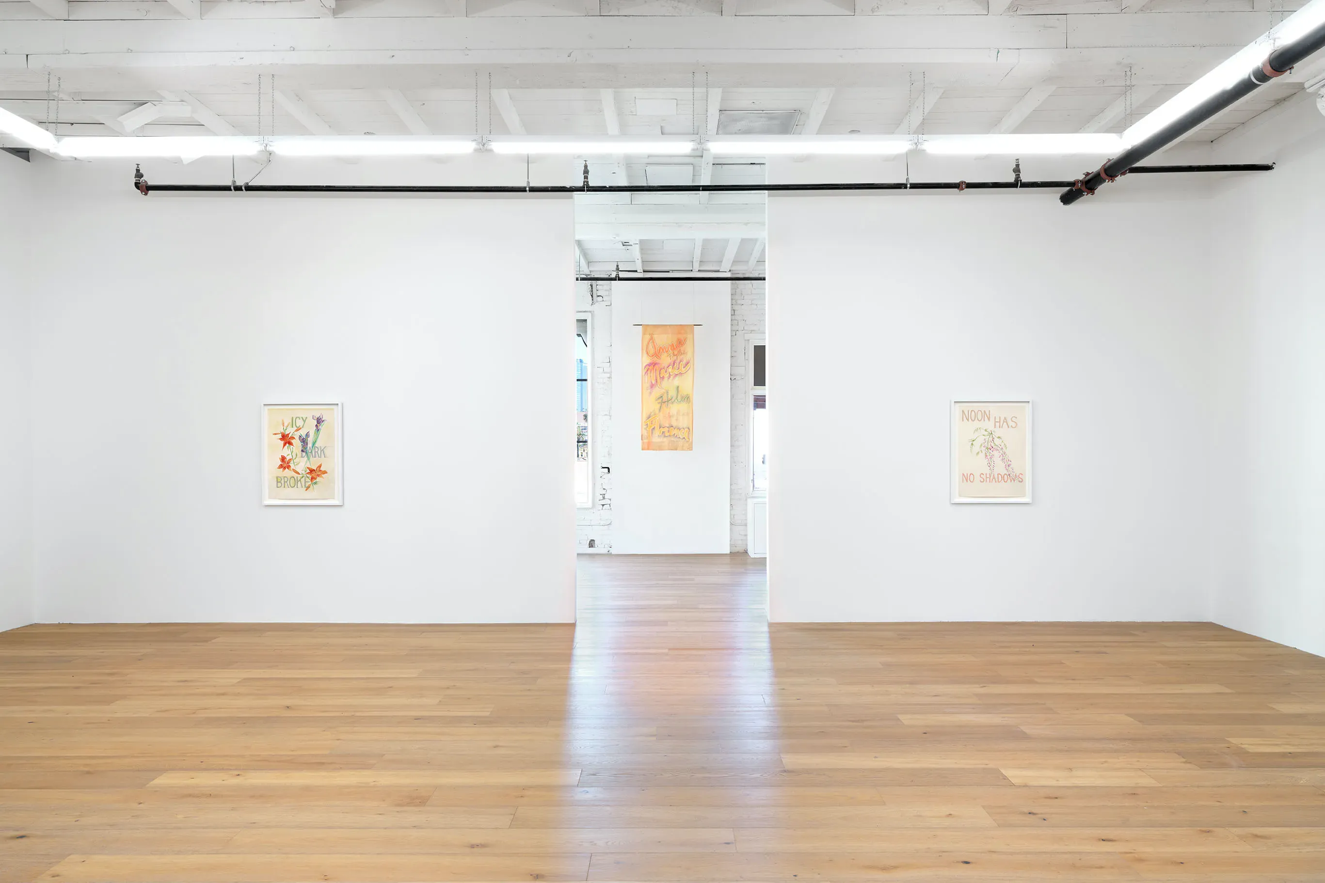 Rosemary Mayer, Noon Has No Shadows at Hannah Hoffman, photo 9