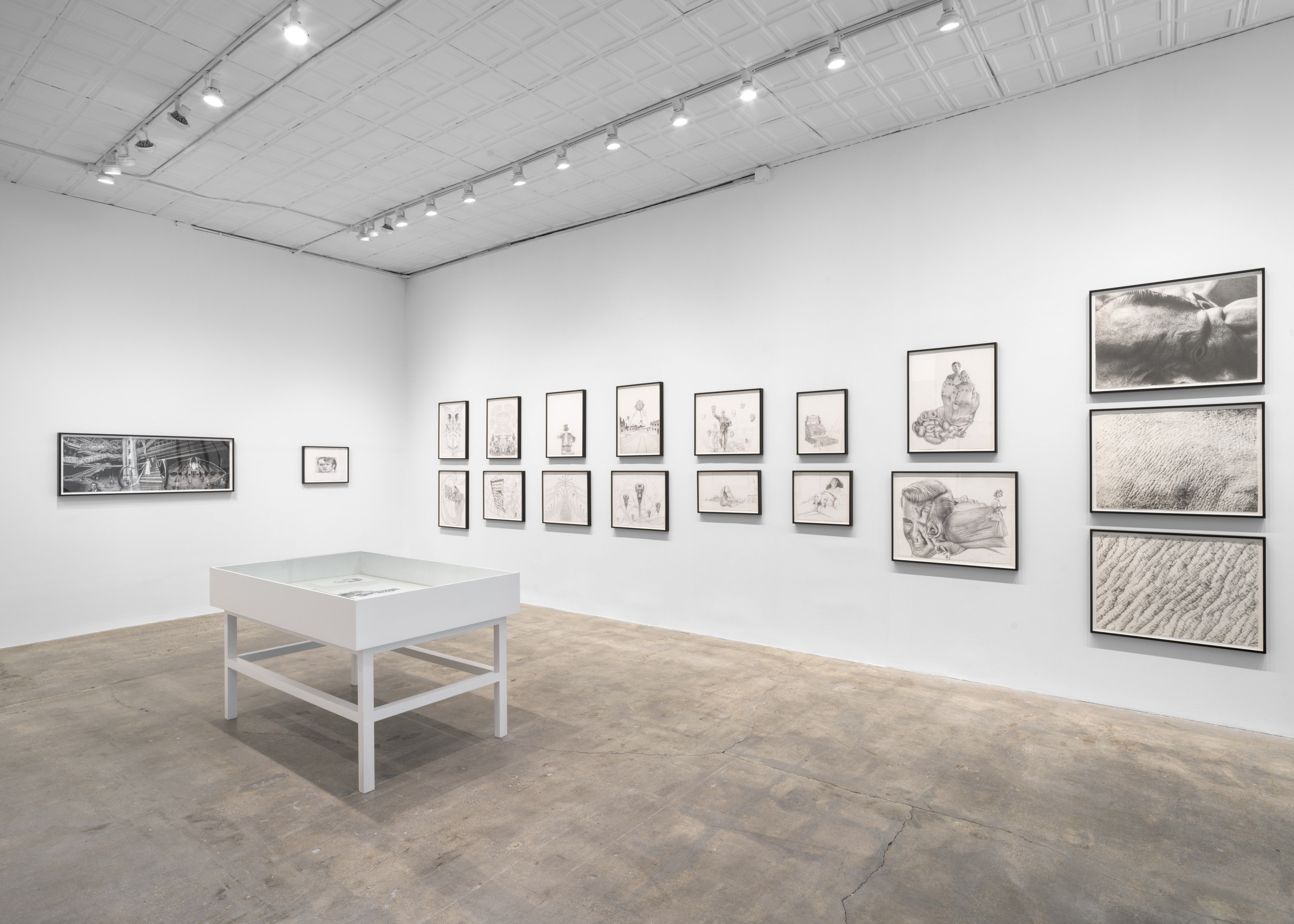 Jim Shaw, Drawings at Gagosian, photo 6