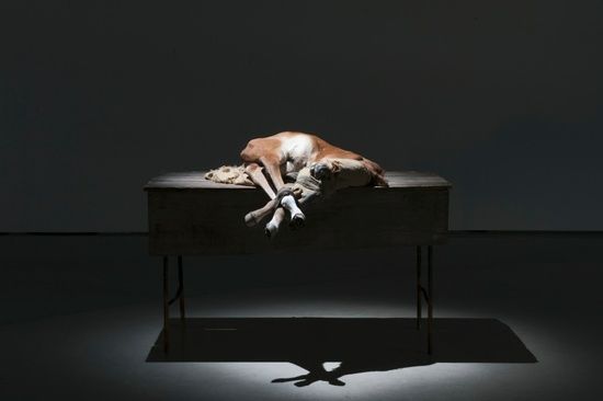 Berlinde De Bruyckere, No Life Lost at Hauser & Wirth, photo 6