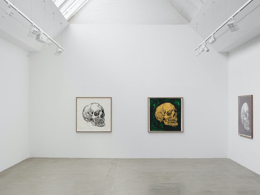 Johnny Miller, The Nature of Nature at Barbara Thumm, photo 2