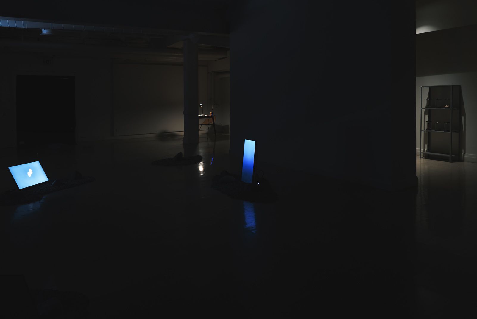 Vanessa Holyoak & Antoine Chesnais, Souvenirs at LA Artcore, photo 2