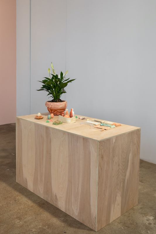 Ilana Harris-Babou, Decision Fatigue at Hesse Flatow, photo 4